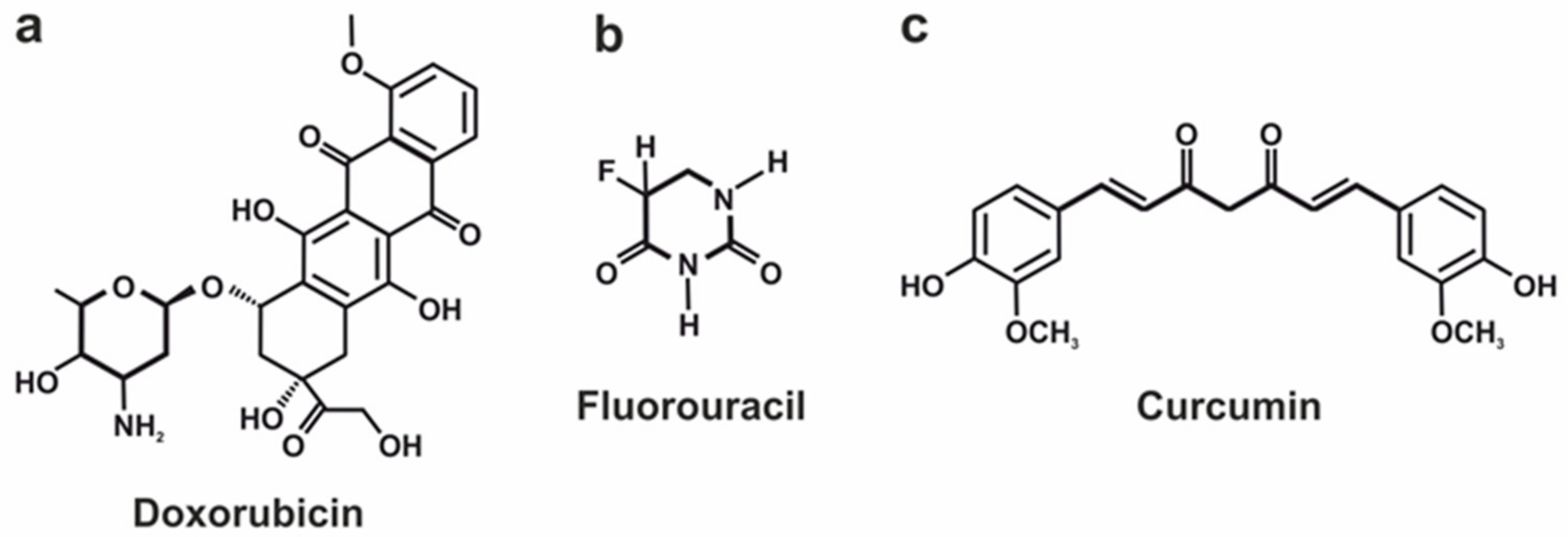 Pharmaceutics 15 01566 g007 Pharmaceutics 15 01566 g007