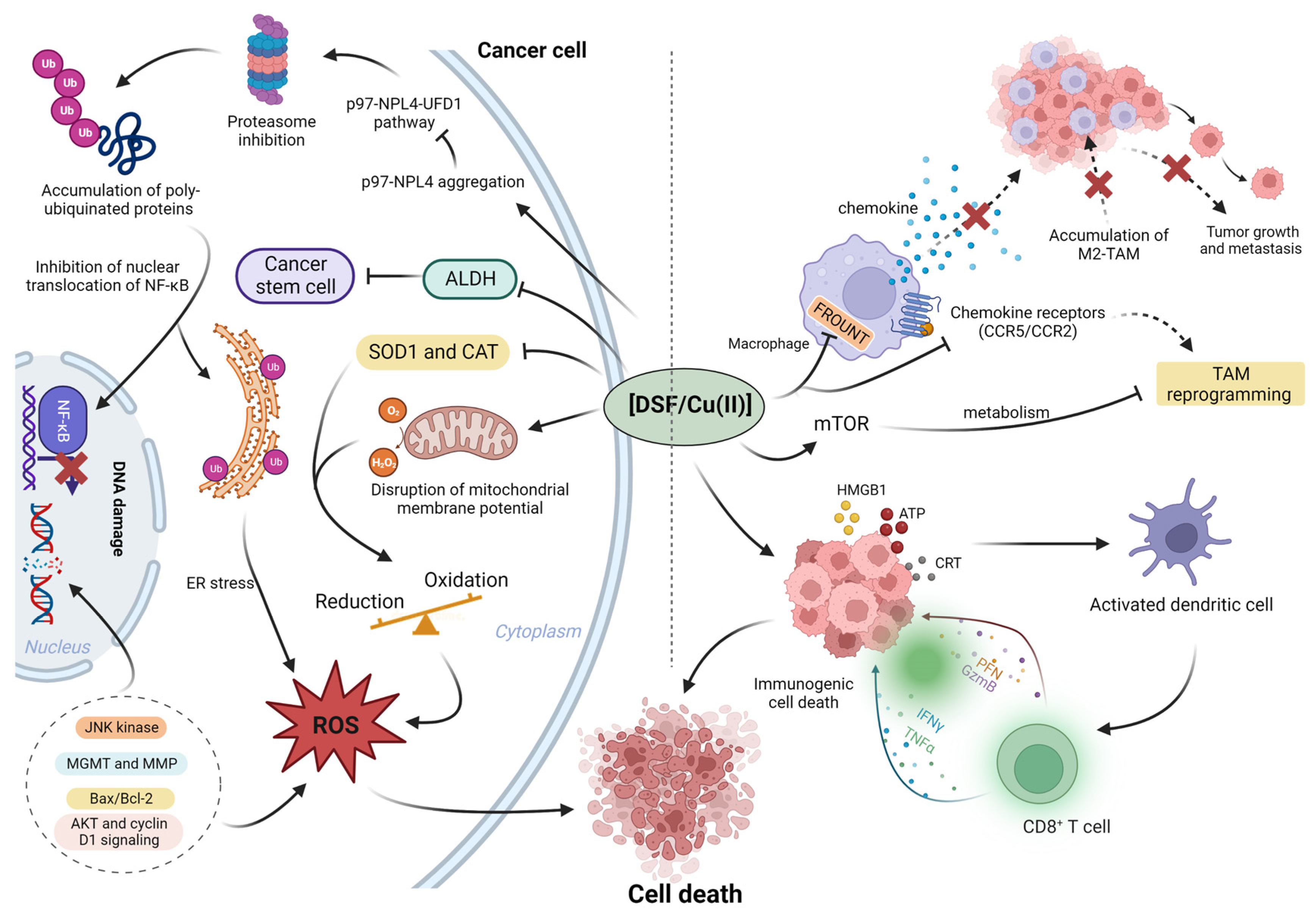 Pharmaceutics 15 01567 g002 Pharmaceutics 15 01567 g002