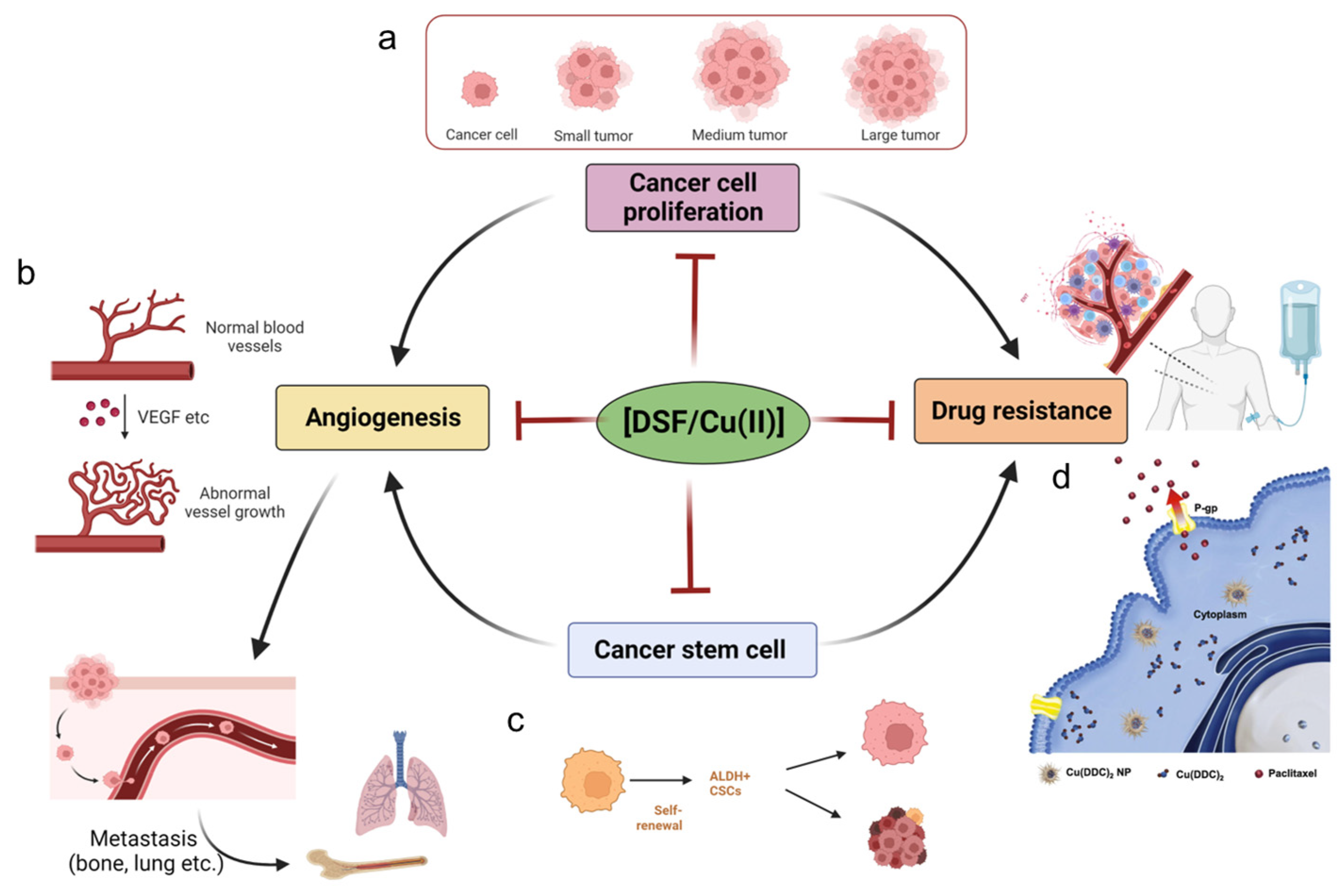 Pharmaceutics 15 01567 g003 Pharmaceutics 15 01567 g003