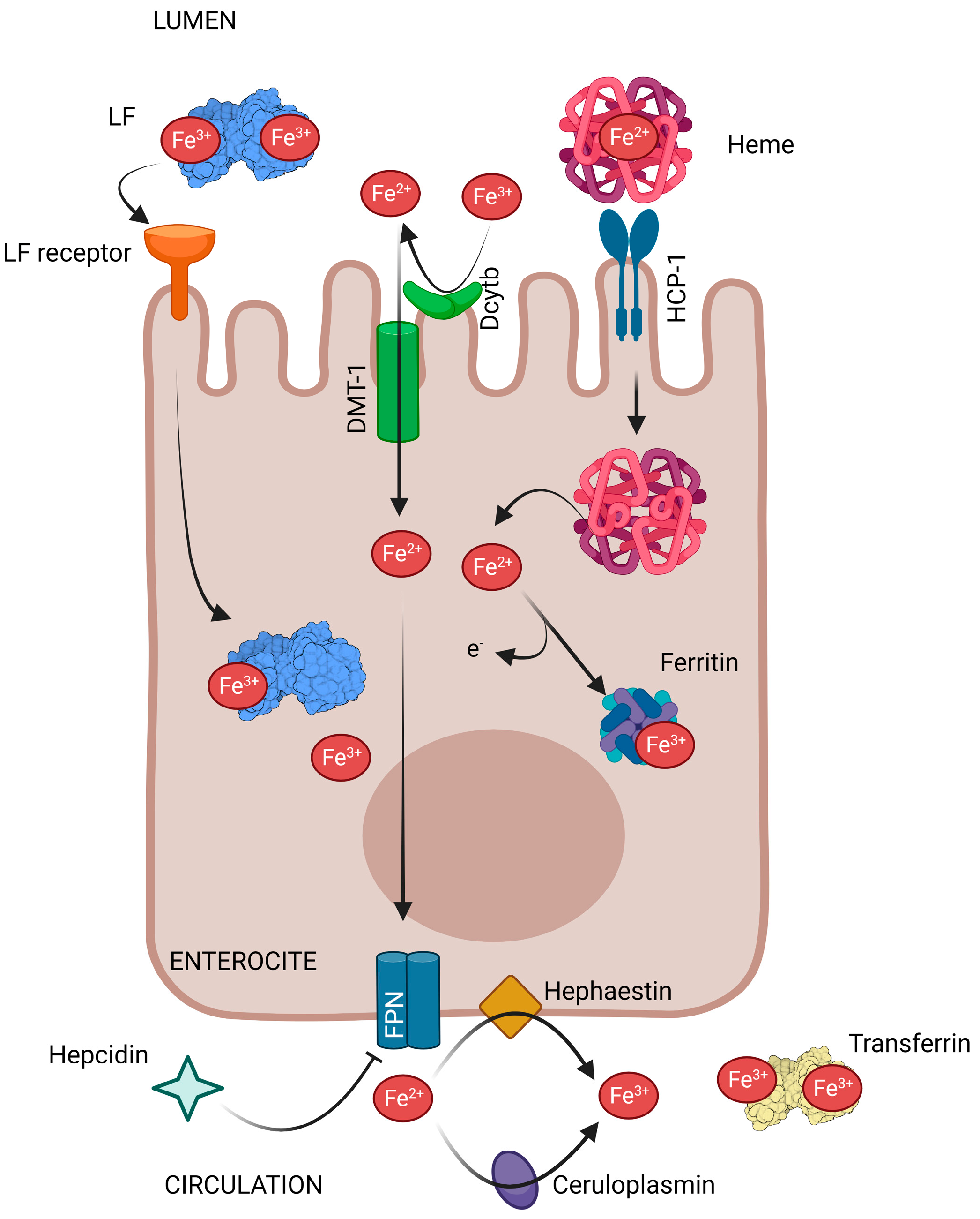 Pharmaceutics 15 01569 g002 Pharmaceutics 15 01569 g002