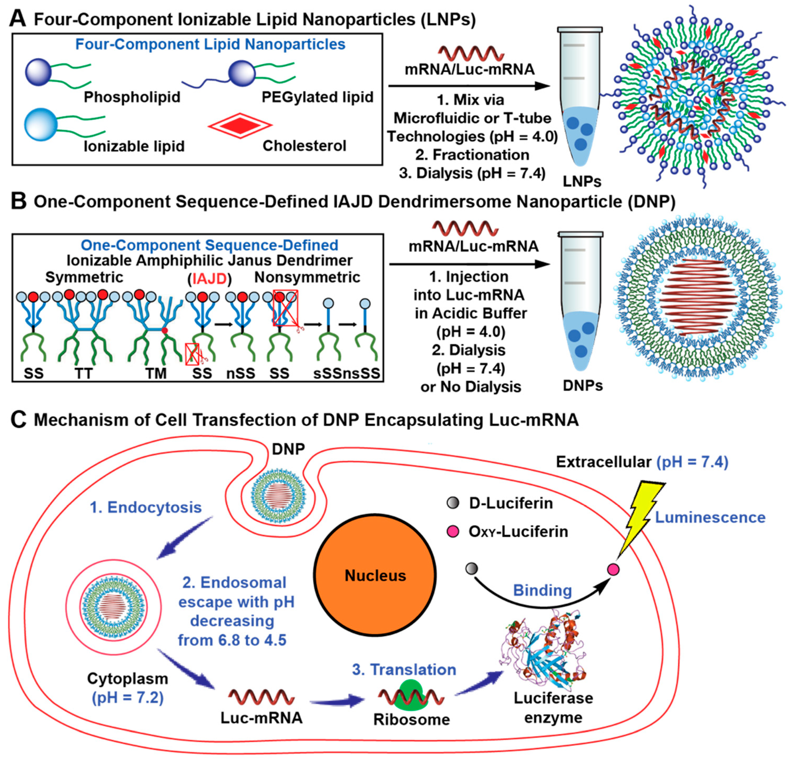 Pharmaceutics, Free Full-Text