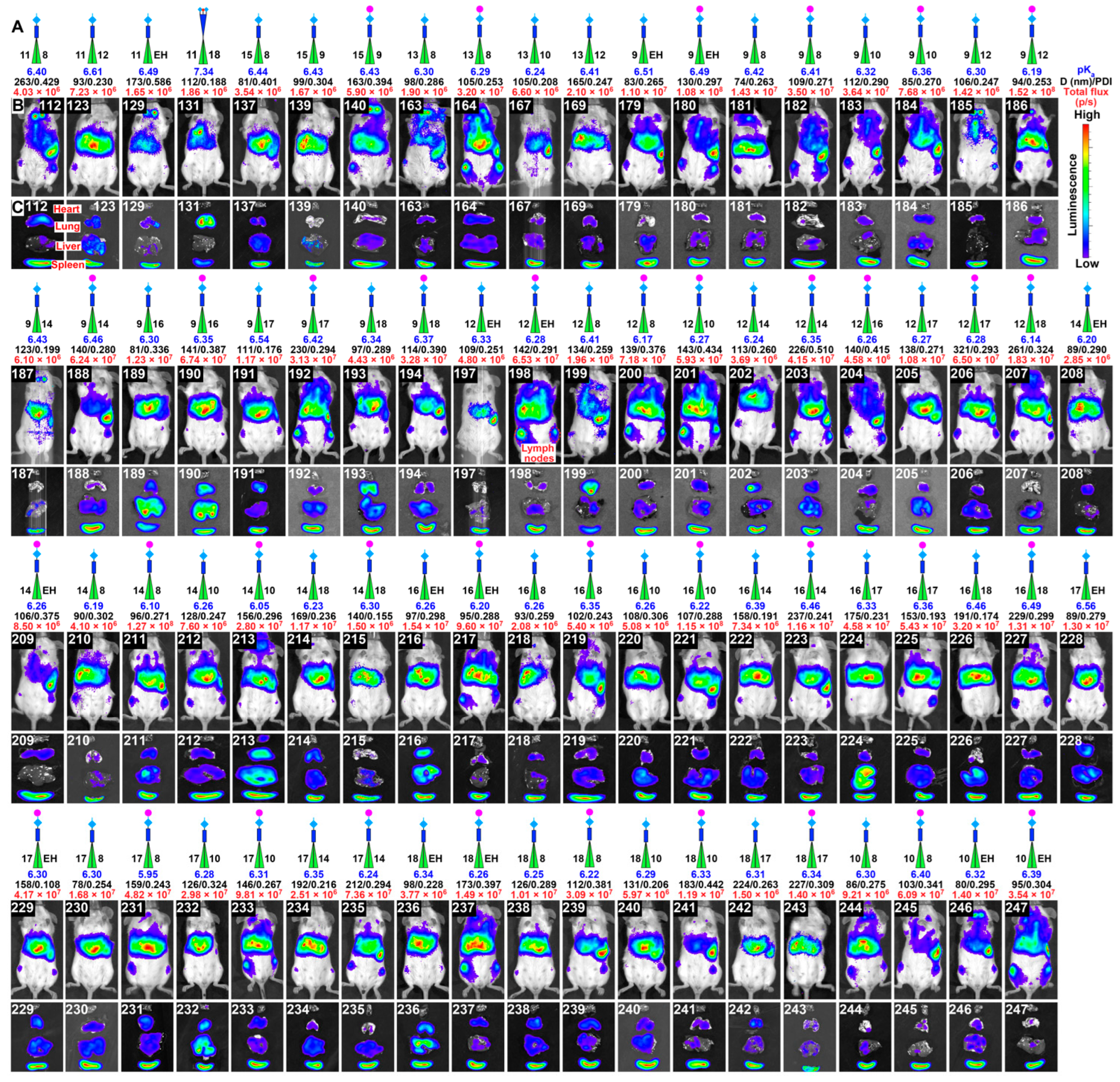 Pharmaceutics 15 01572 g004 Pharmaceutics 15 01572 g004