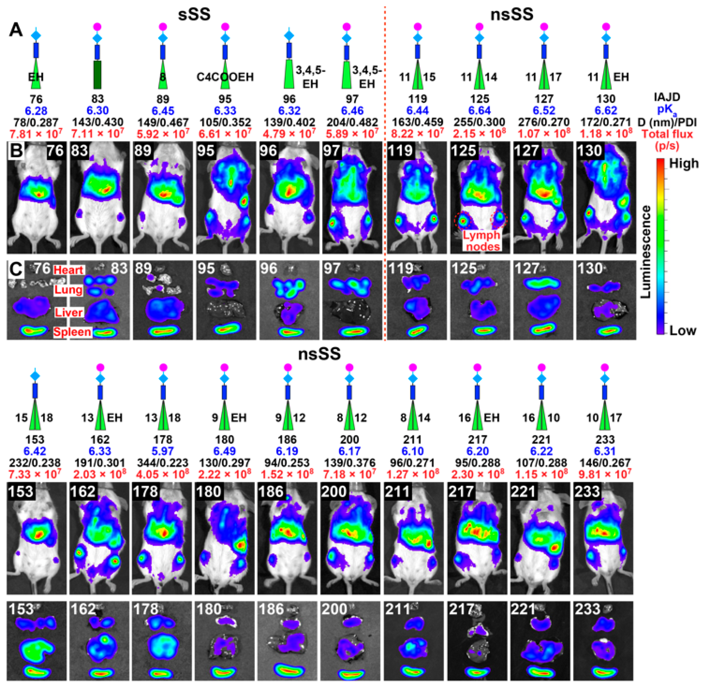 Pharmaceutics 15 01572 g006 Pharmaceutics 15 01572 g006