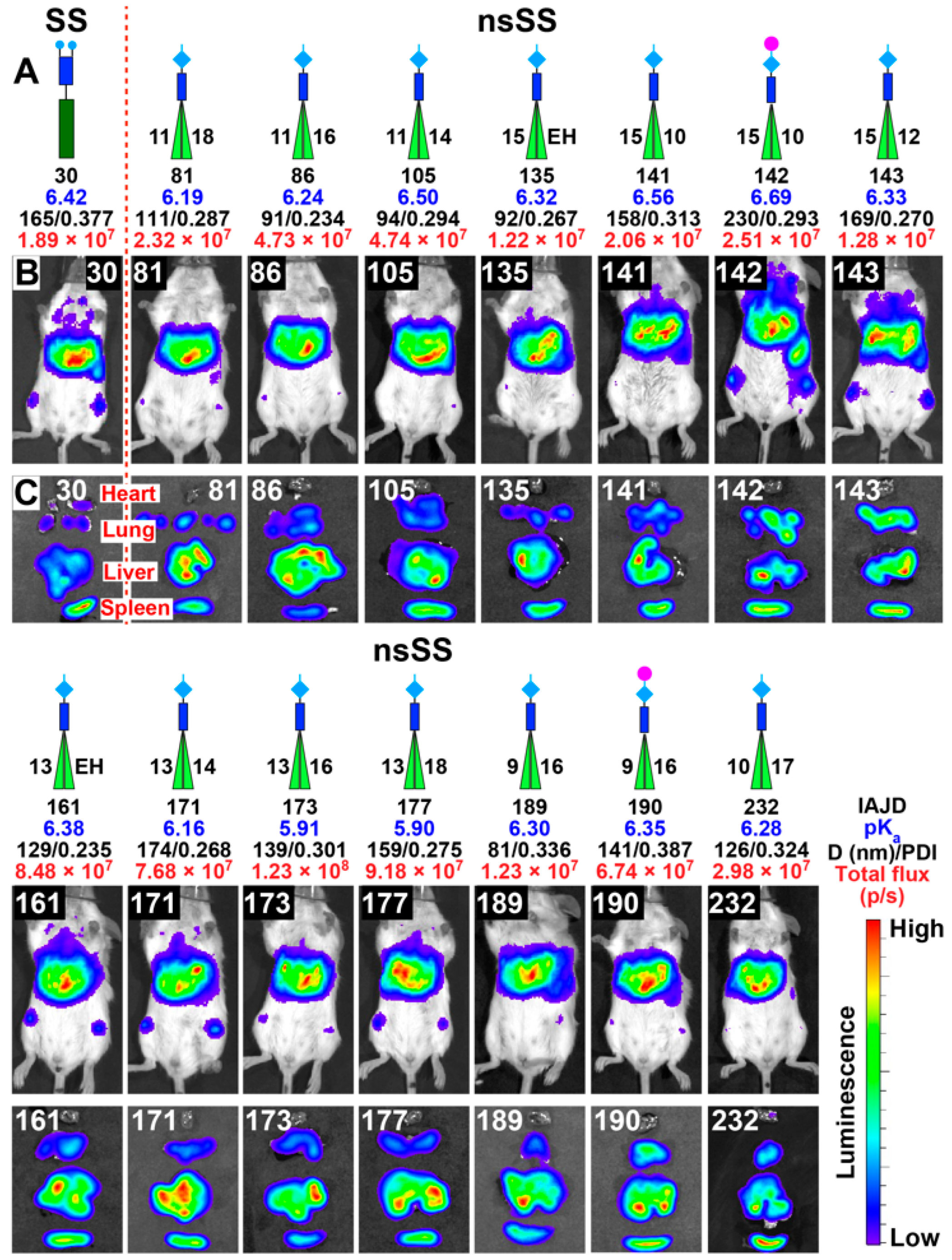 Pharmaceutics 15 01572 g008 Pharmaceutics 15 01572 g008
