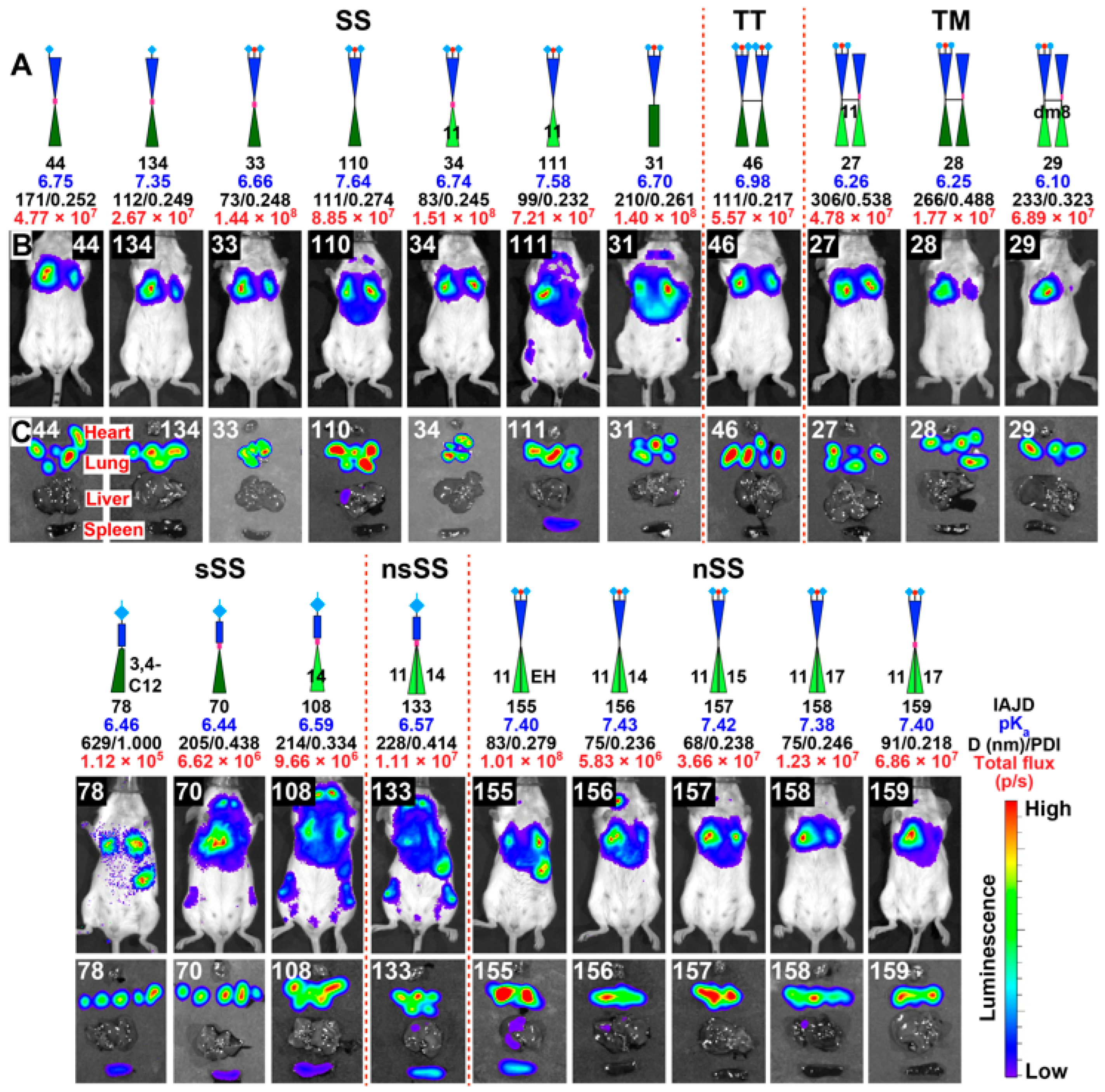 Pharmaceutics 15 01572 g011 Pharmaceutics 15 01572 g011