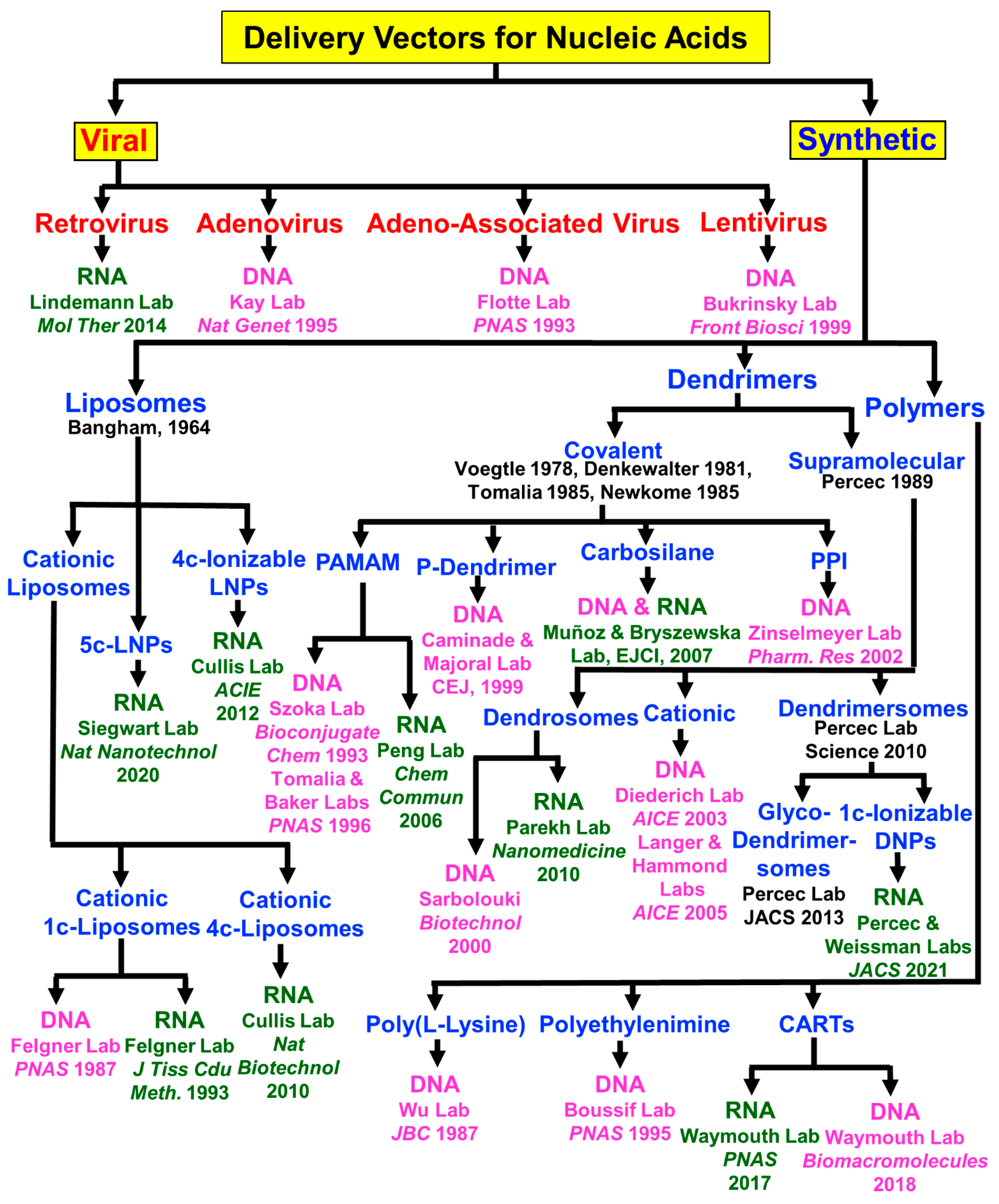 Pharmaceutics 15 01572 g016 Pharmaceutics 15 01572 g016