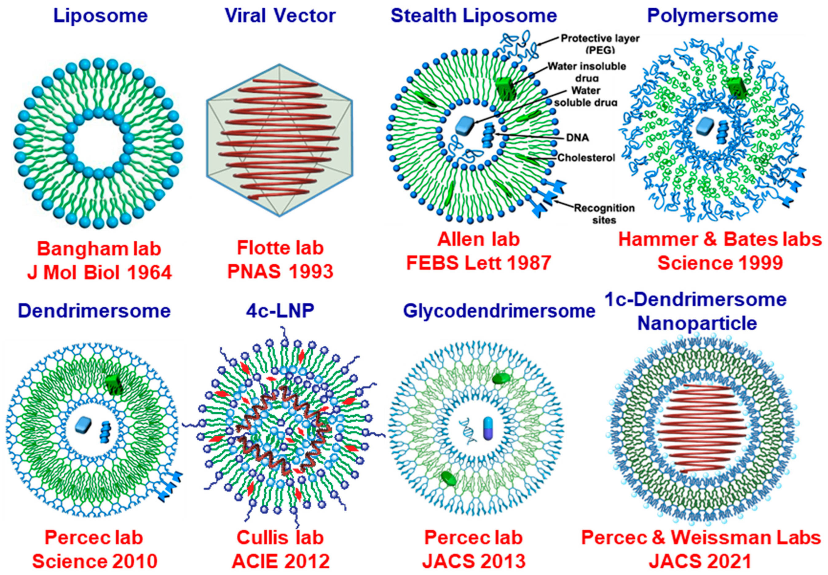Pharmaceutics 15 01572 g017 Pharmaceutics 15 01572 g017