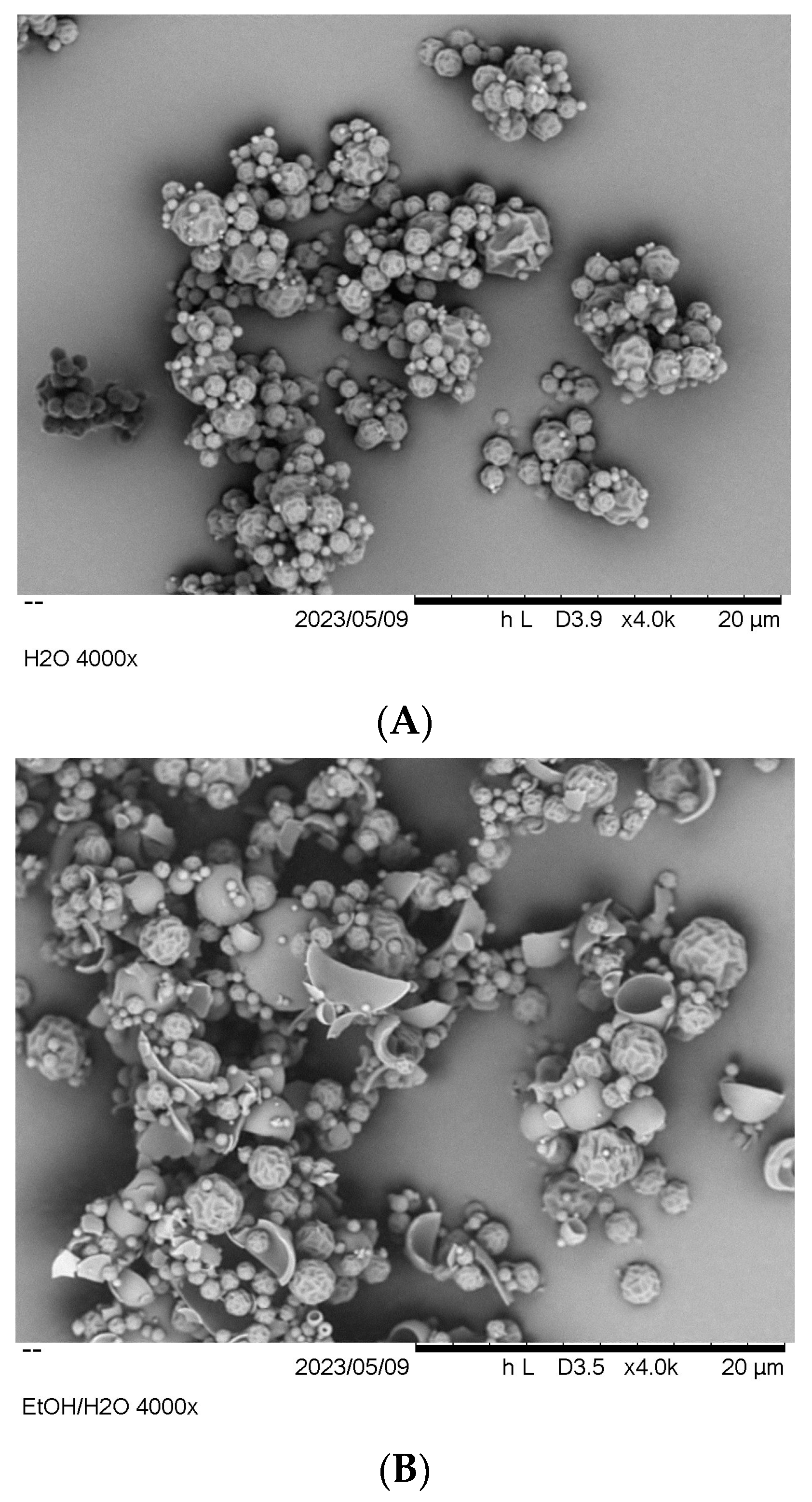 Pharmaceutics 15 01574 g004