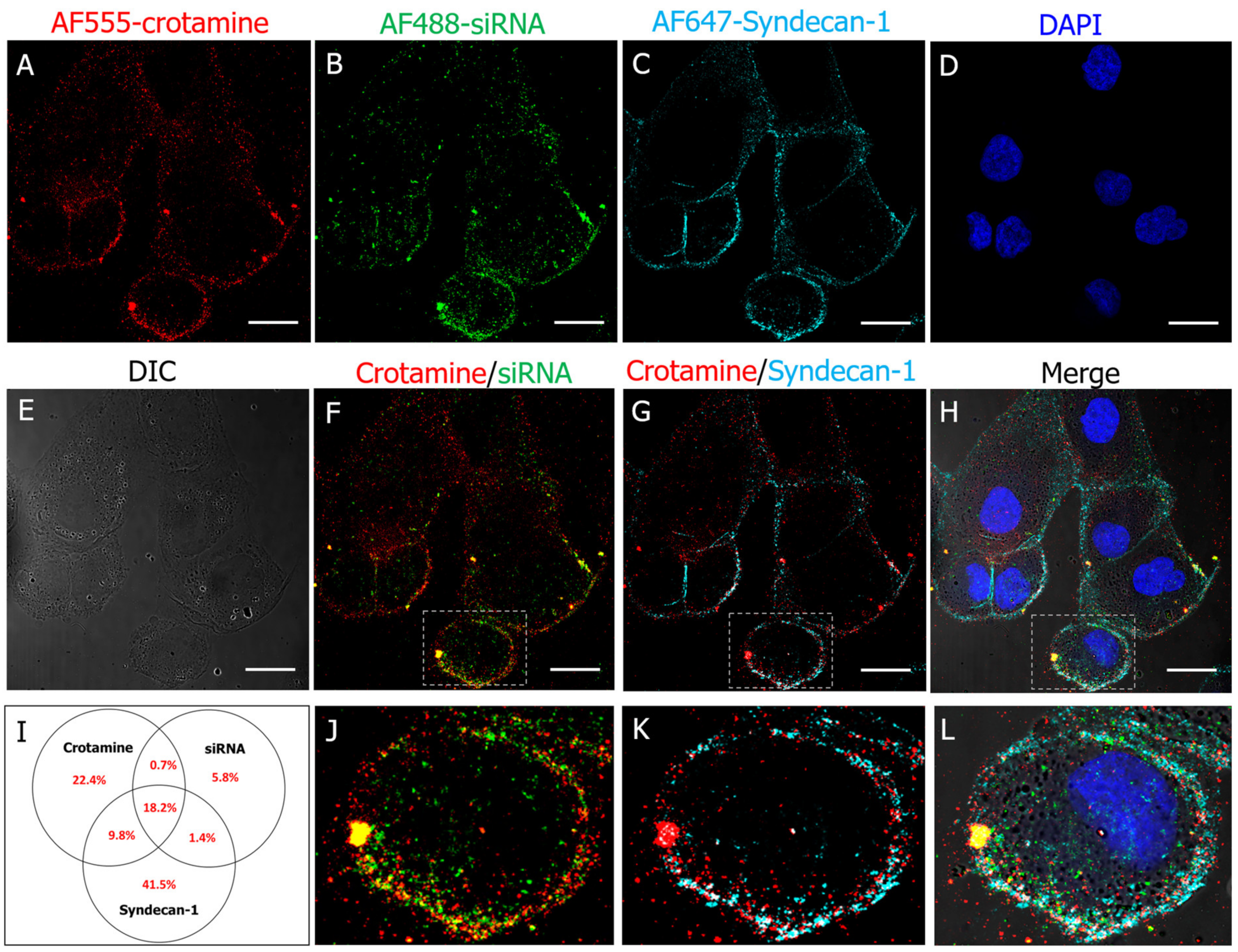 Pharmaceutics 15 01576 g004 Pharmaceutics 15 01576 g004