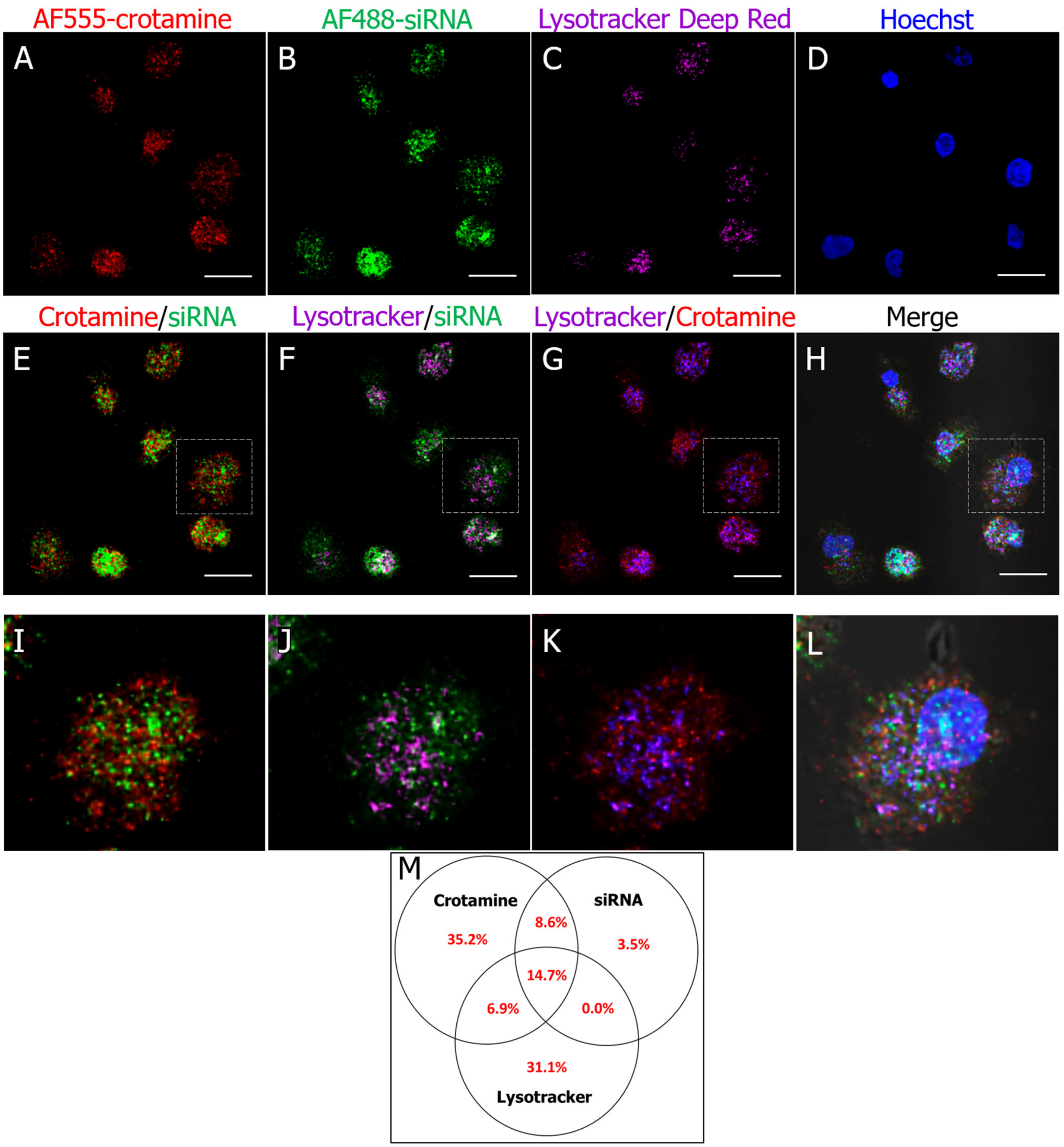 Pharmaceutics 15 01576 g005 Pharmaceutics 15 01576 g005