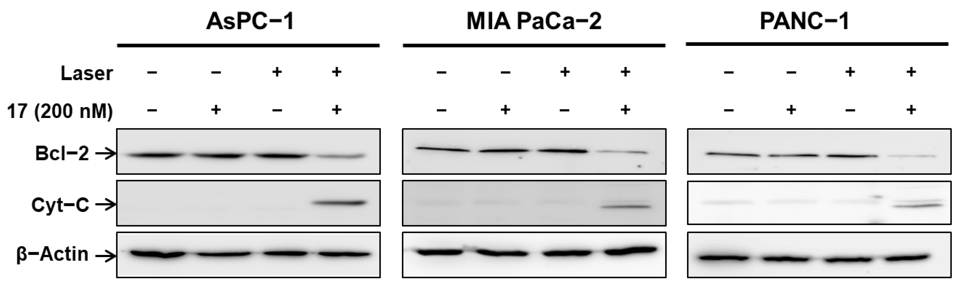 Pharmaceutics 15 01577 g007 Pharmaceutics 15 01577 g007