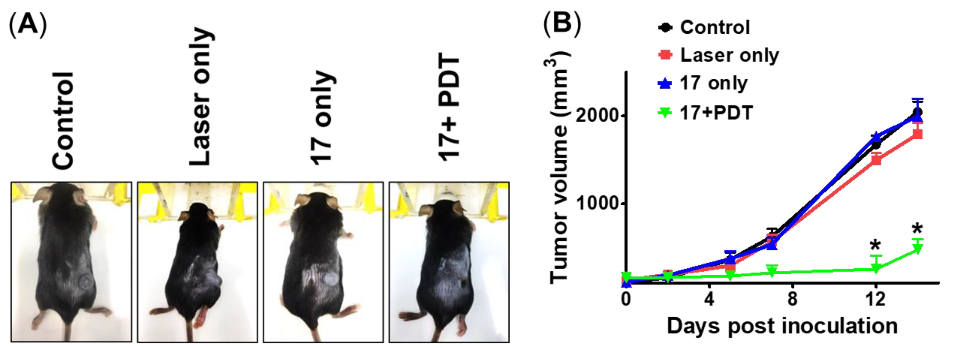 Pharmaceutics 15 01577 g008 Pharmaceutics 15 01577 g008