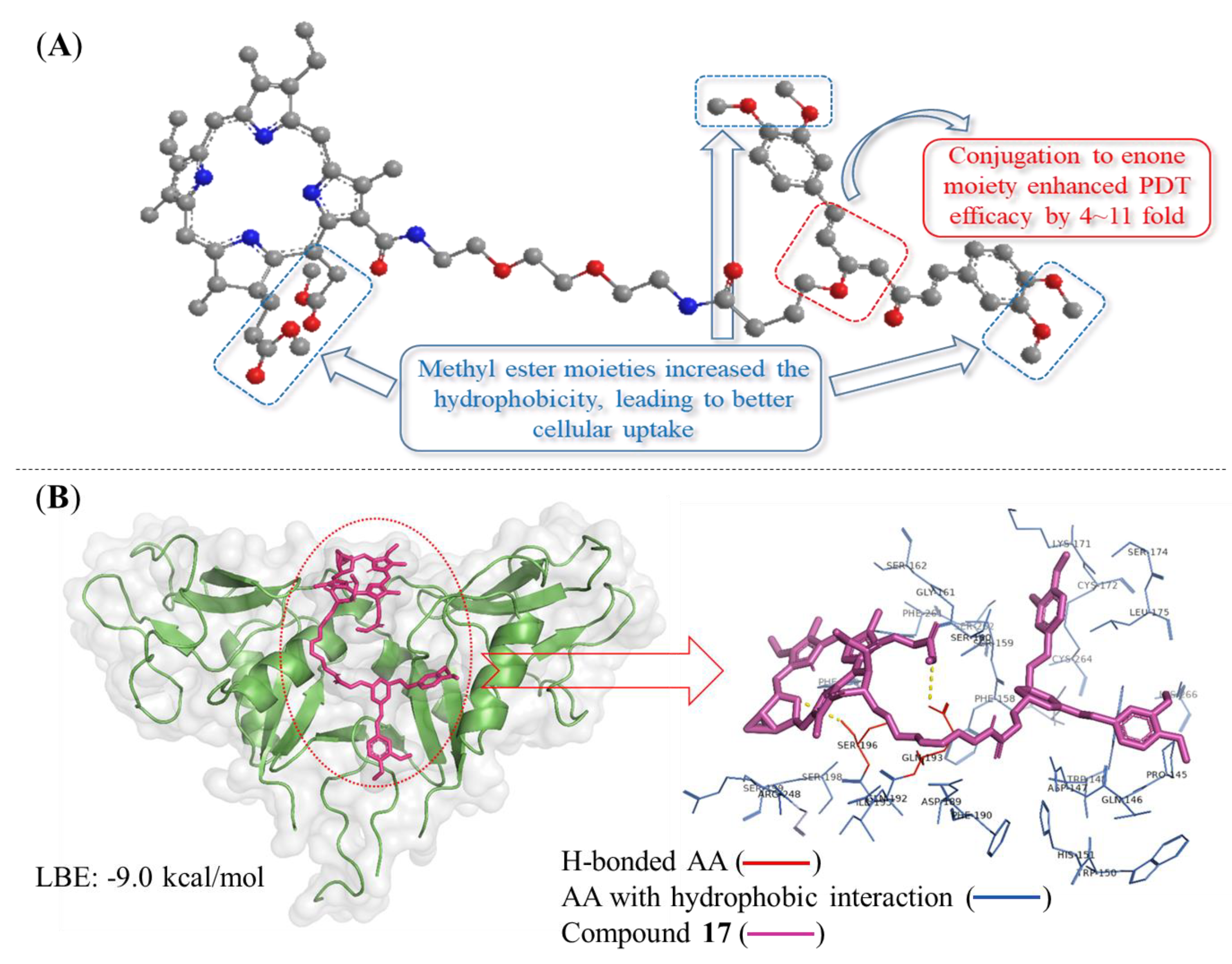 Pharmaceutics 15 01577 g010 Pharmaceutics 15 01577 g010