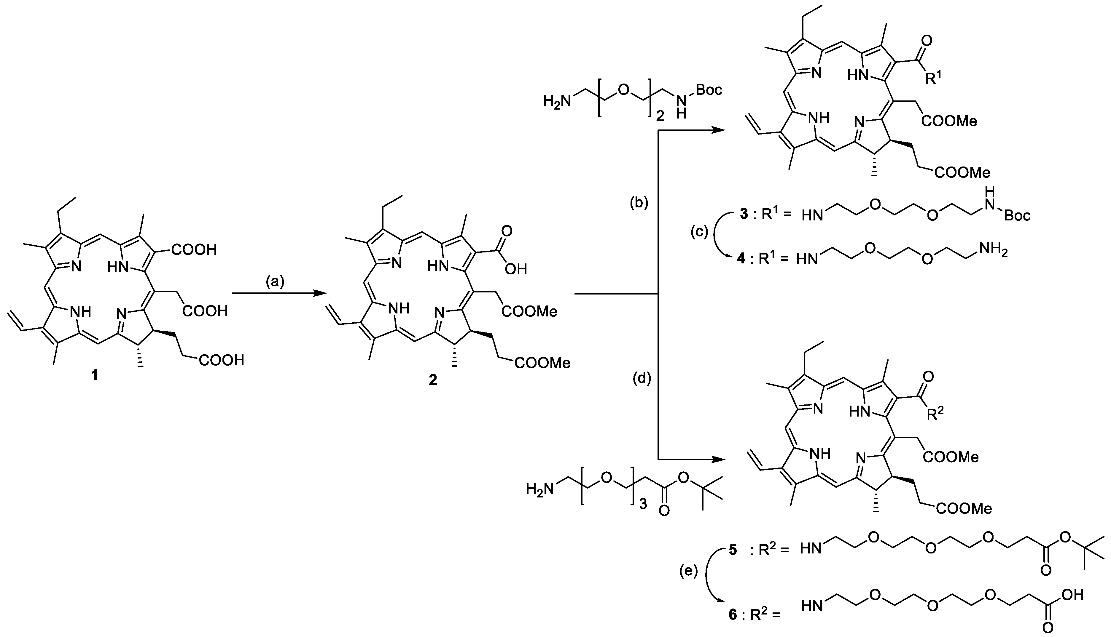 Pharmaceutics 15 01577 sch001 Pharmaceutics 15 01577 sch001