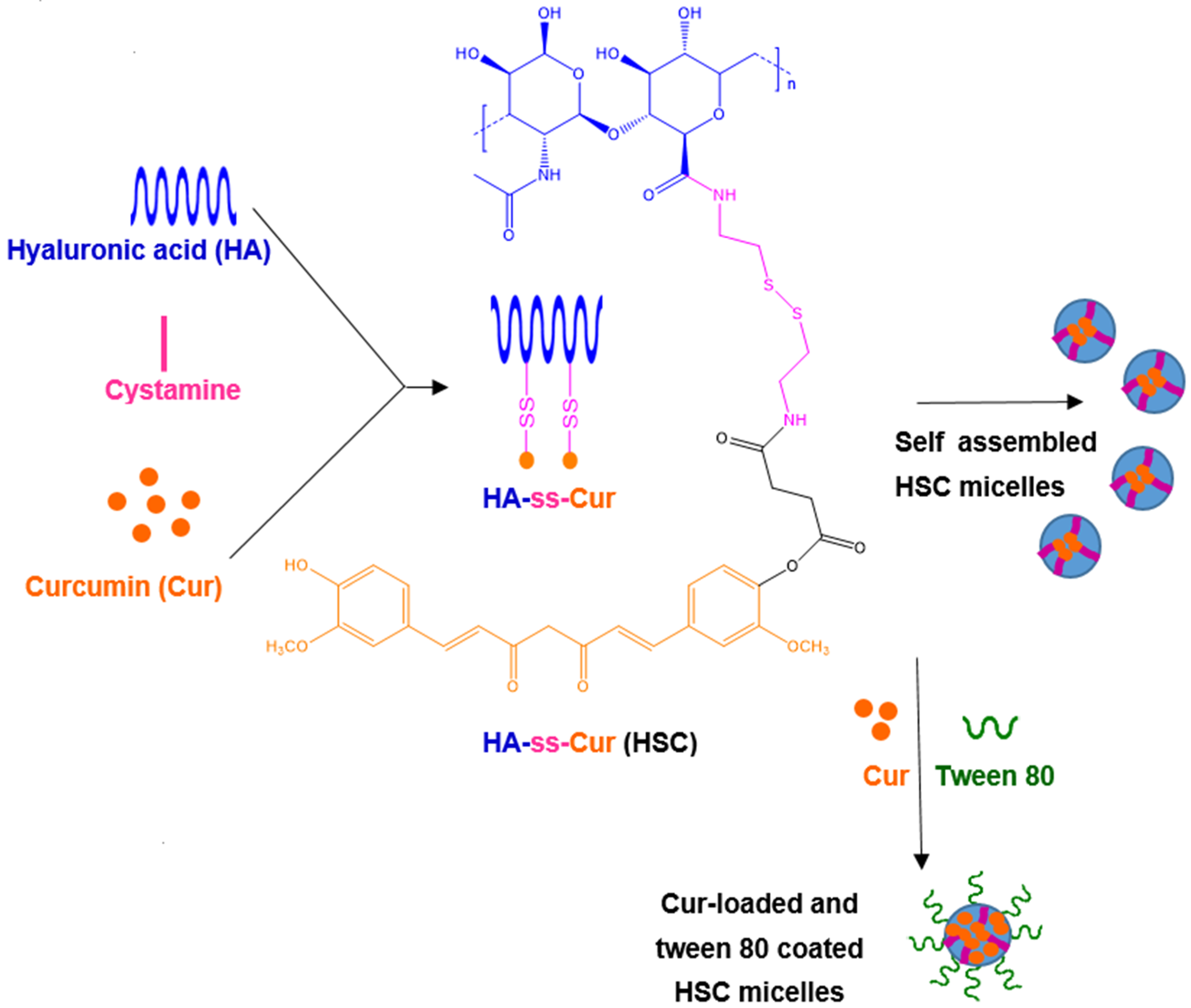 Pharmaceutics 15 01578 g010 Pharmaceutics 15 01578 g010