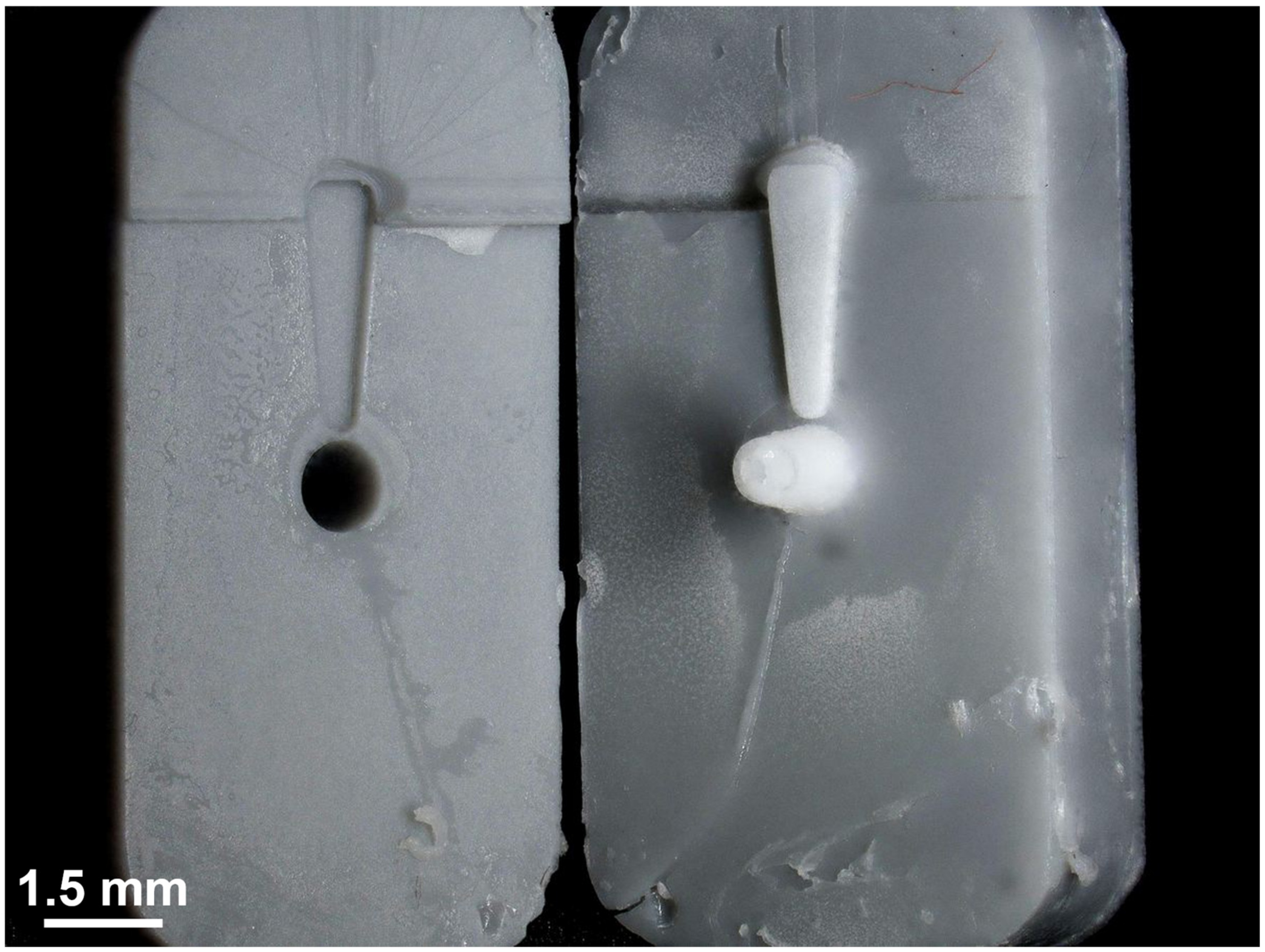 Pharmaceutics 15 01584 g008 Pharmaceutics 15 01584 g008