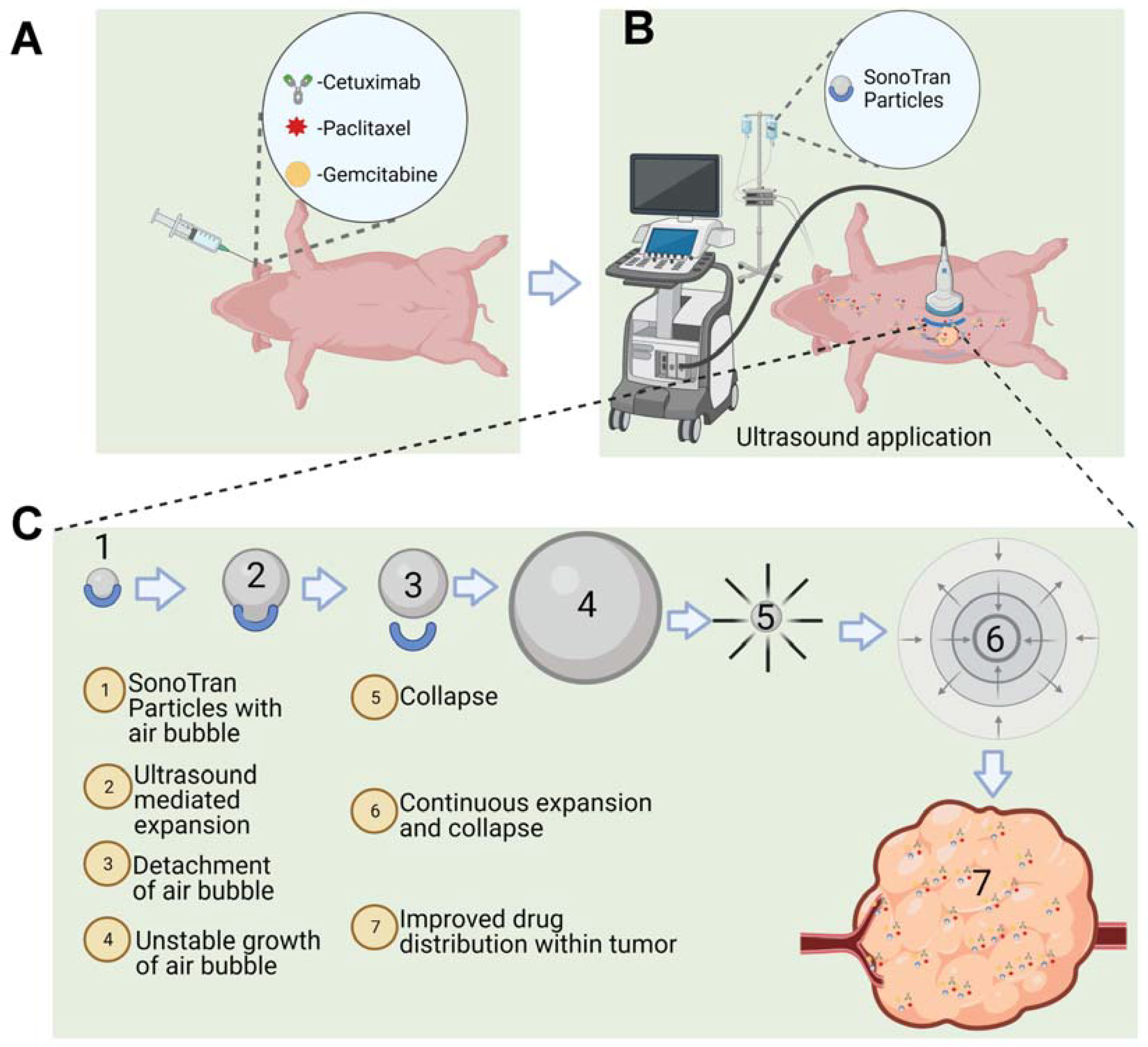 Pharmaceutics 15 01585 g001
