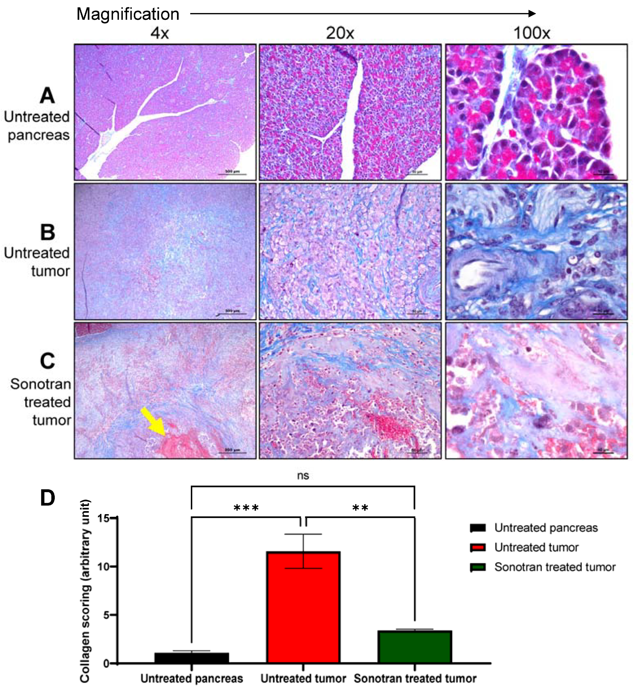 Pharmaceutics 15 01585 g006