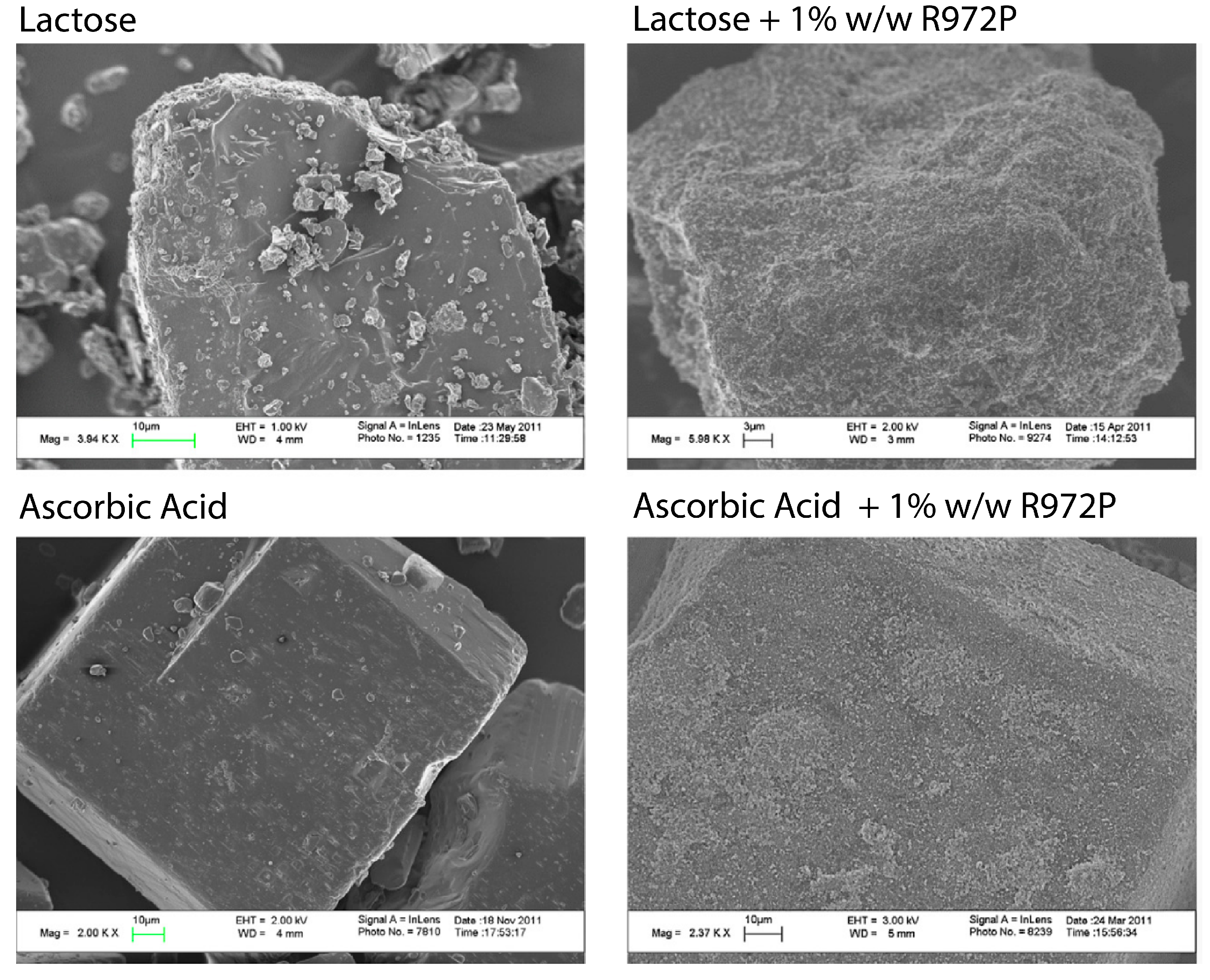 Pharmaceutics 15 01587 g019