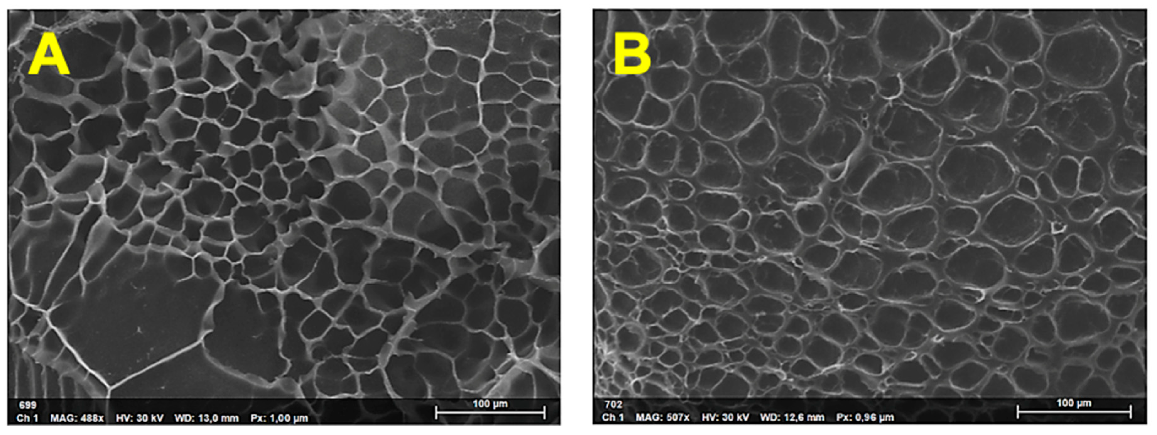 Pharmaceutics 15 01588 g003a Pharmaceutics 15 01588 g003a