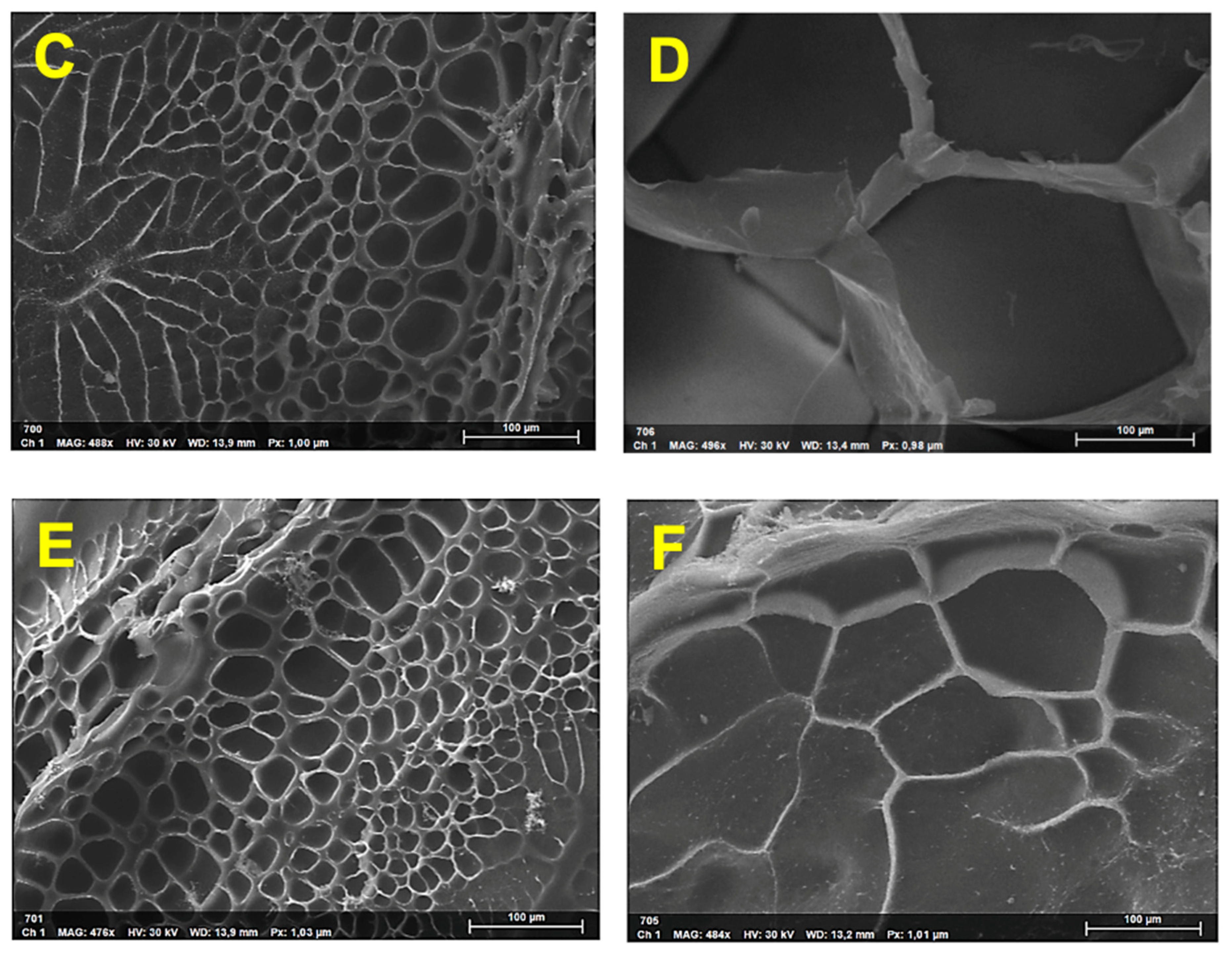 Pharmaceutics 15 01588 g003b Pharmaceutics 15 01588 g003b