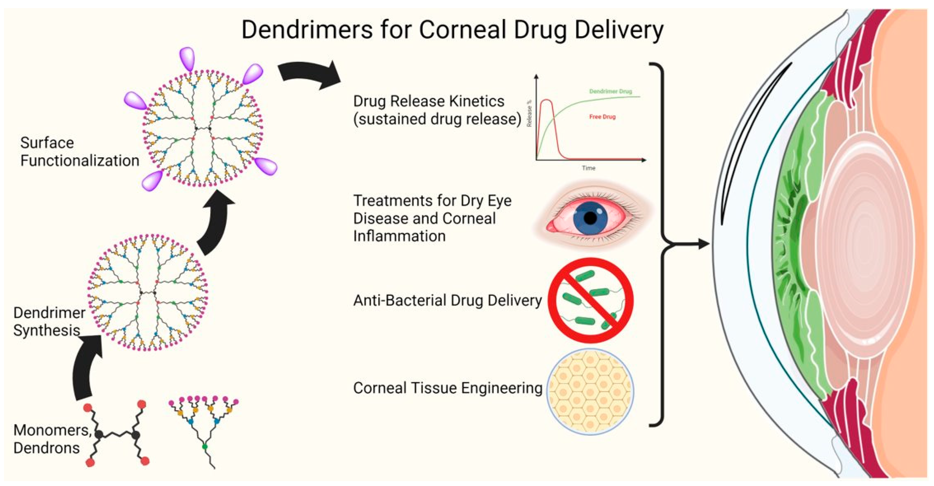 Pharmaceutics 15 01591 g001 Pharmaceutics 15 01591 g001
