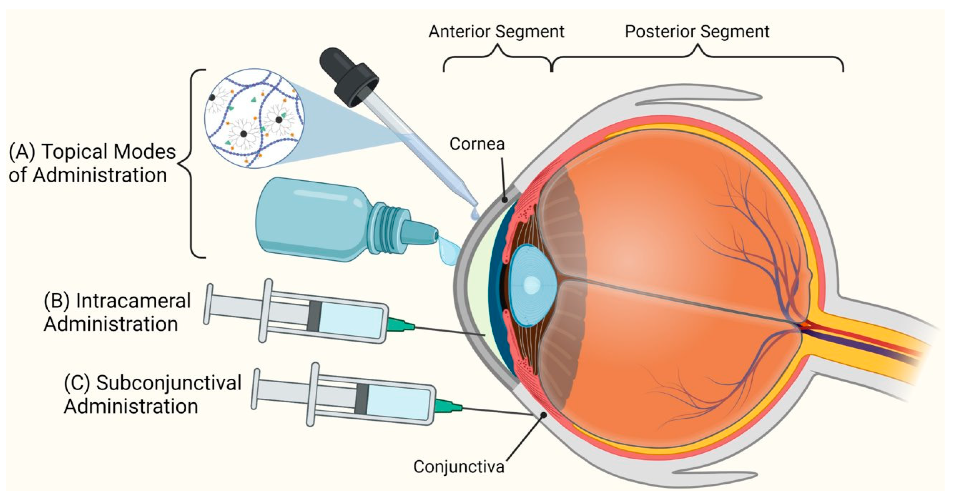 Pharmaceutics 15 01591 g004 Pharmaceutics 15 01591 g004