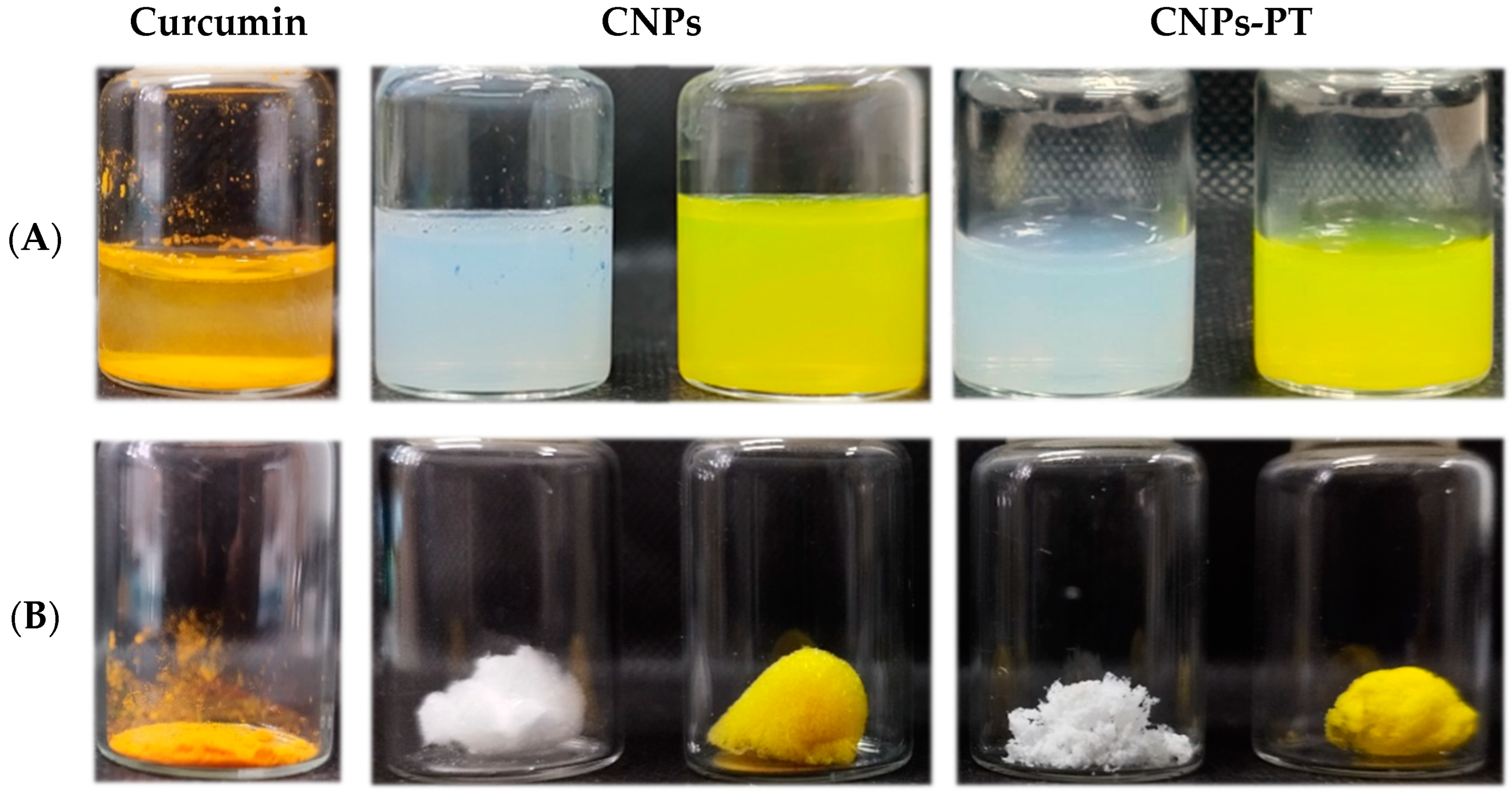 Pharmaceutics 15 01594 g006 Pharmaceutics 15 01594 g006