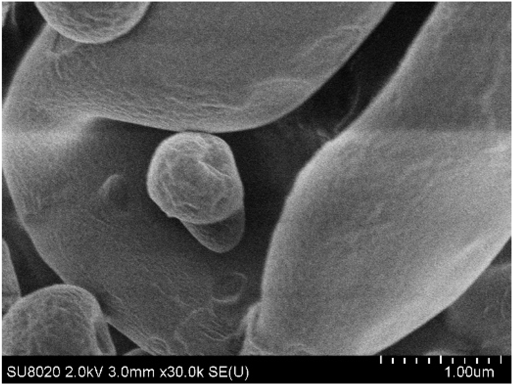 Pharmaceutics 15 01602 g004 Pharmaceutics 15 01602 g004