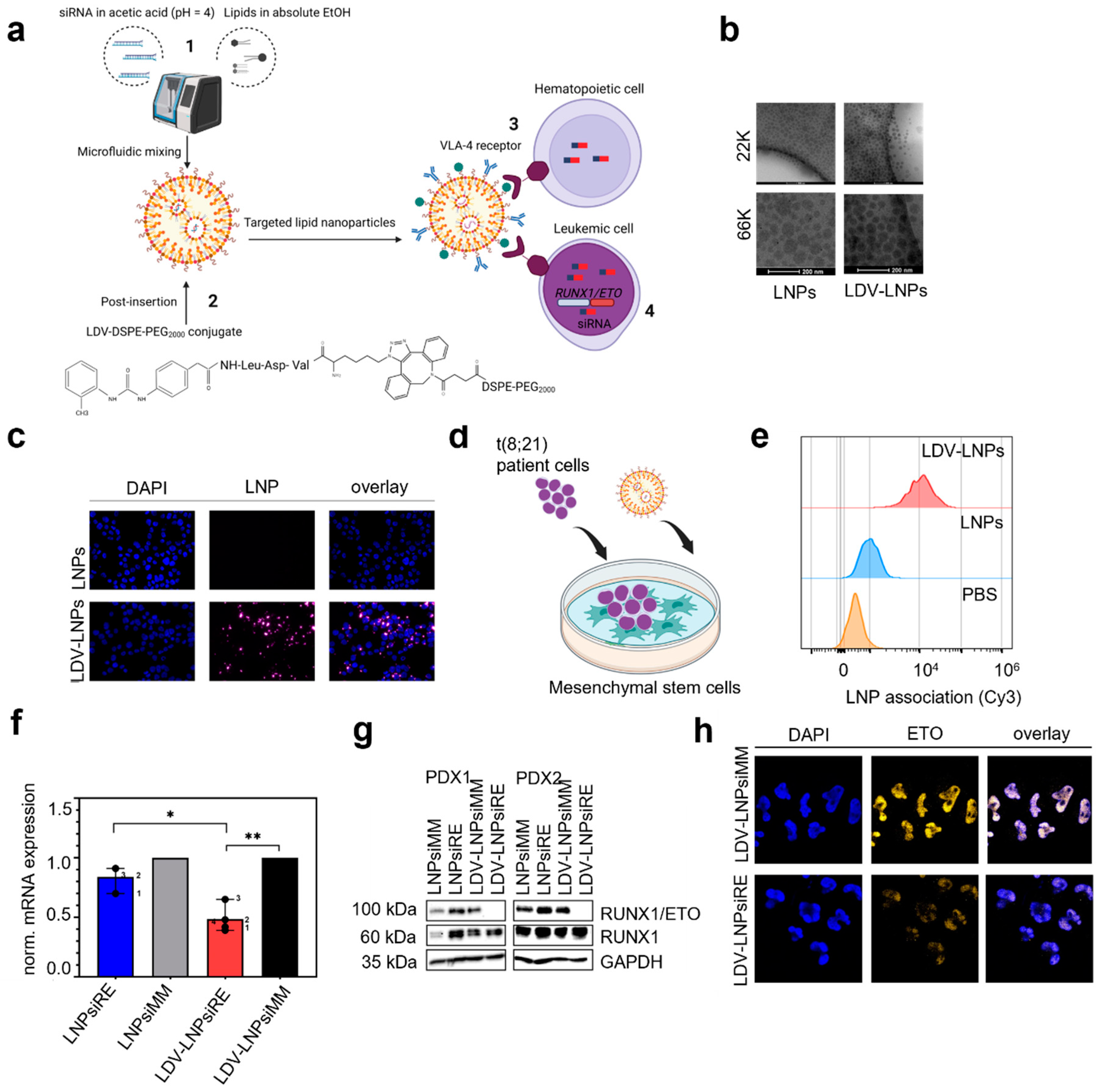 Pharmaceutics 15 01603 g001 Pharmaceutics 15 01603 g001