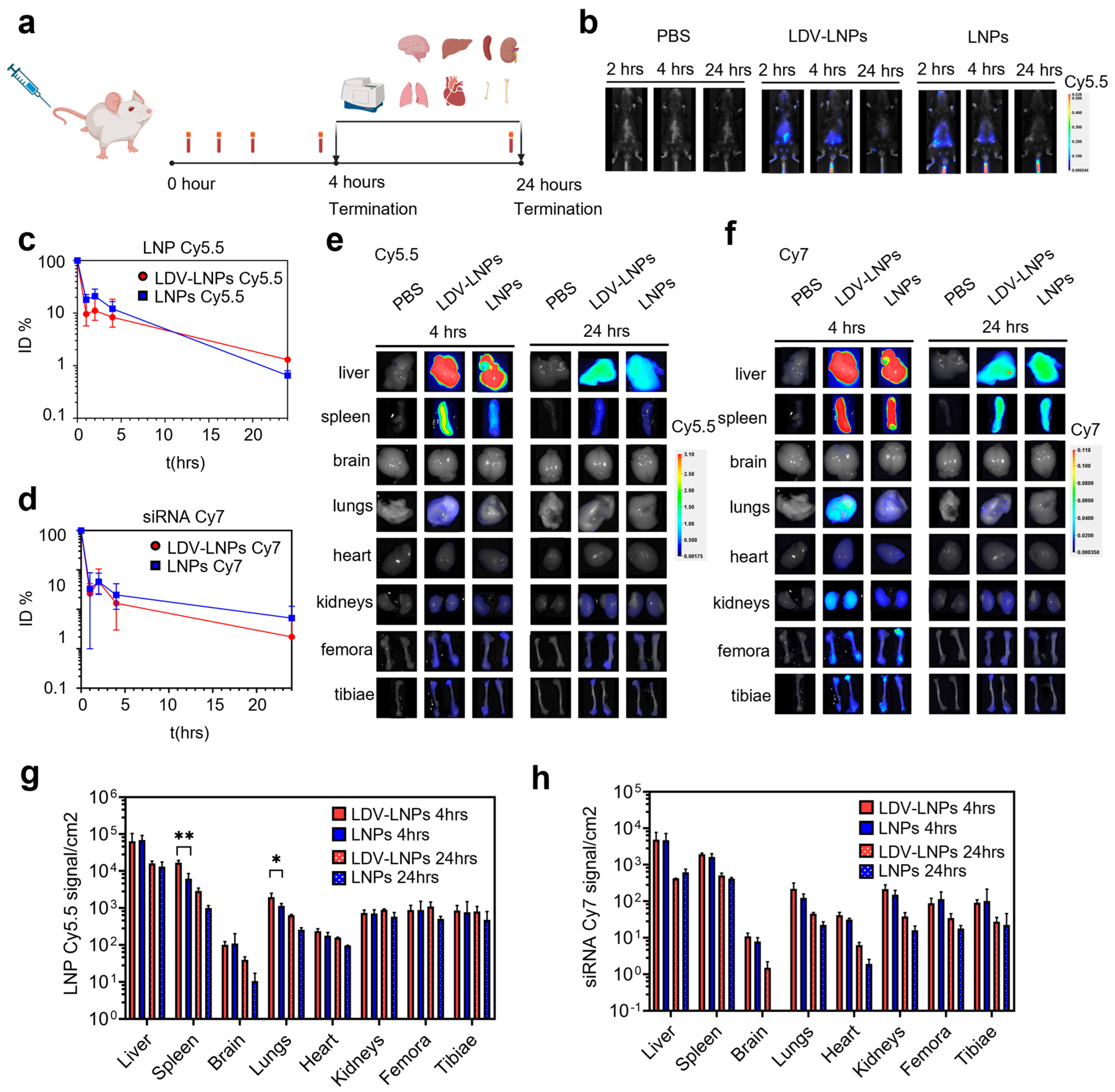 Pharmaceutics 15 01603 g002 Pharmaceutics 15 01603 g002