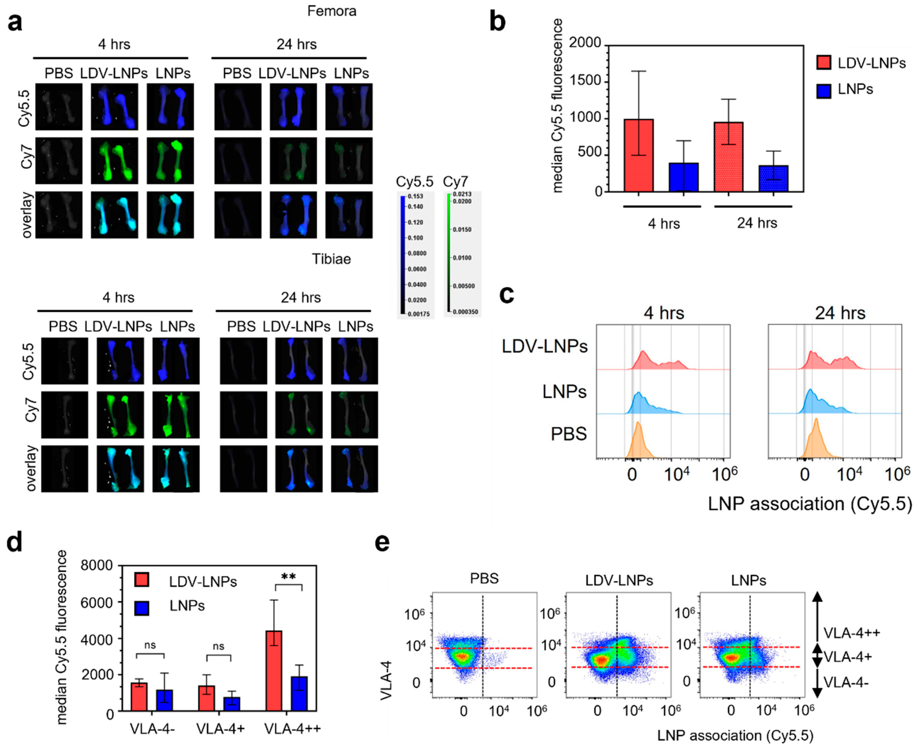 Pharmaceutics 15 01603 g003 Pharmaceutics 15 01603 g003