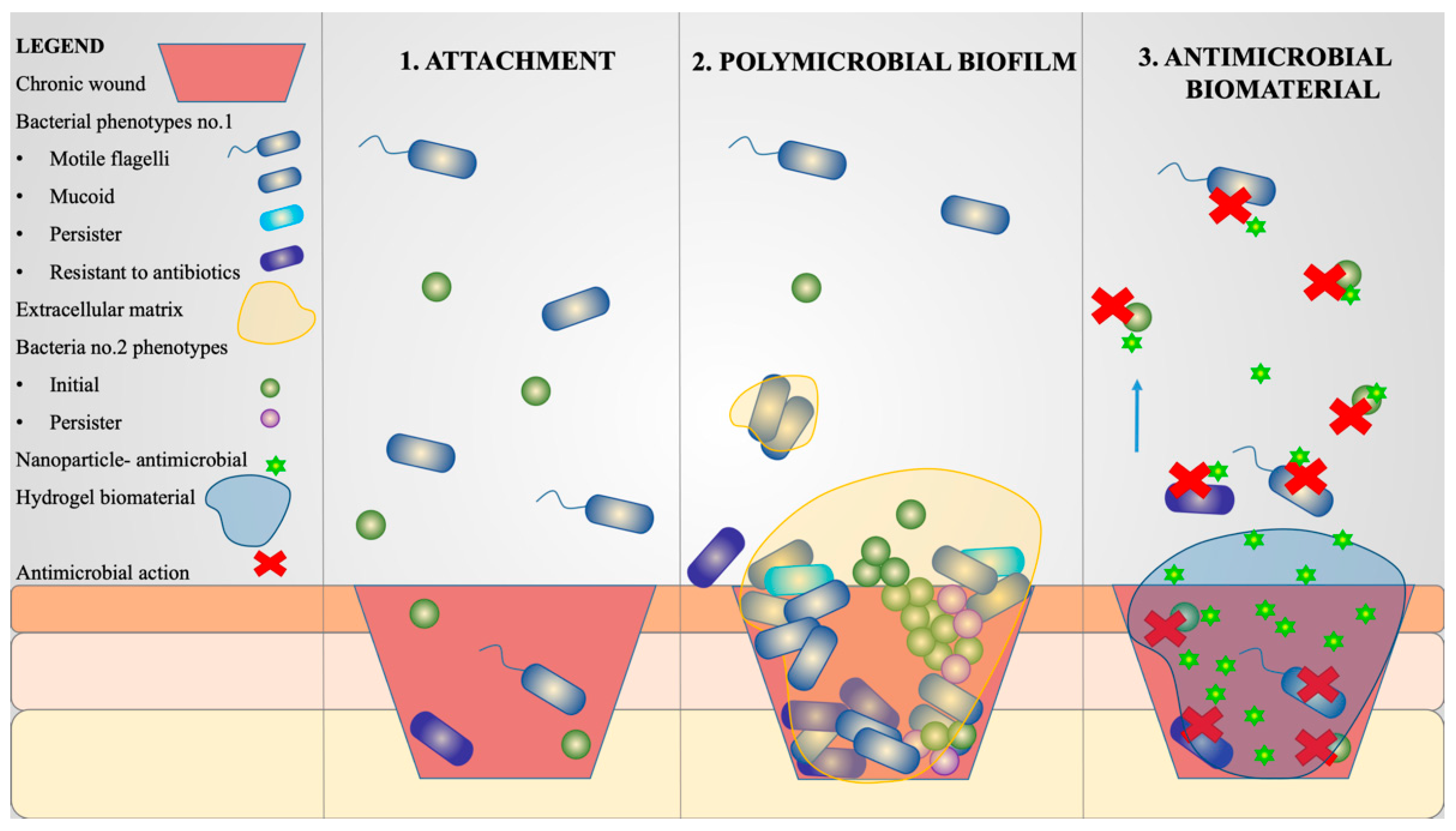 Pharmaceutics 15 01606 g001