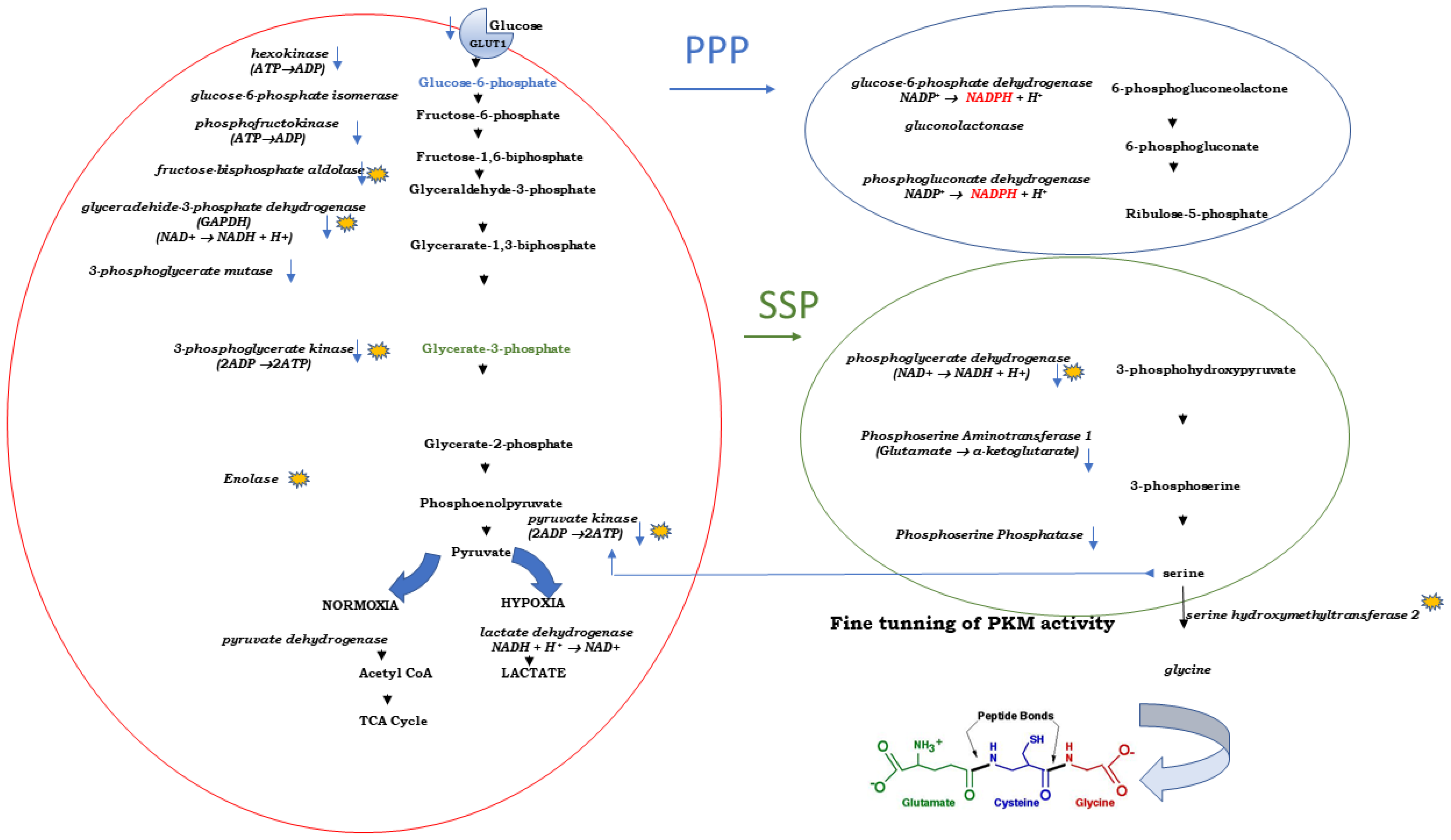 Pharmaceutics 15 01612 g001 Pharmaceutics 15 01612 g001