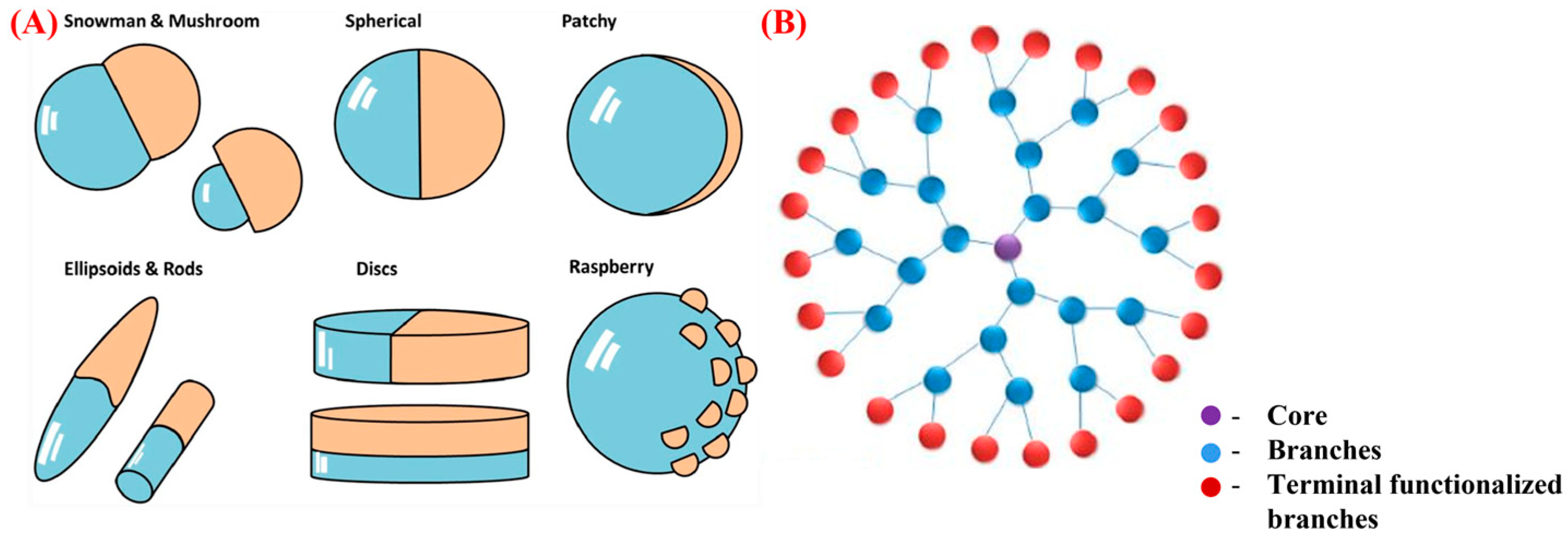 Pharmaceutics 15 01614 g001 550