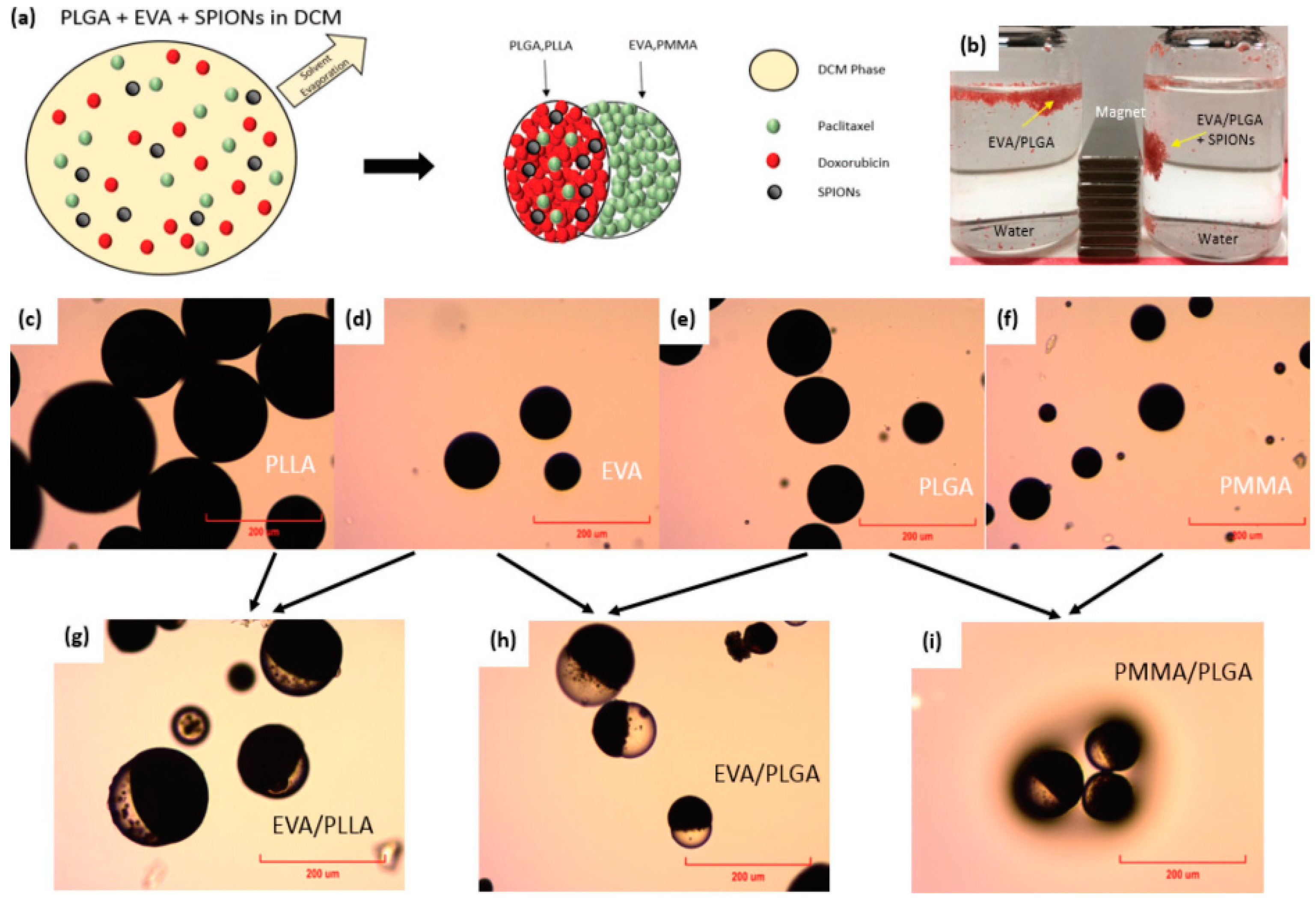 Pharmaceutics 15 01614 g002 Pharmaceutics 15 01614 g002