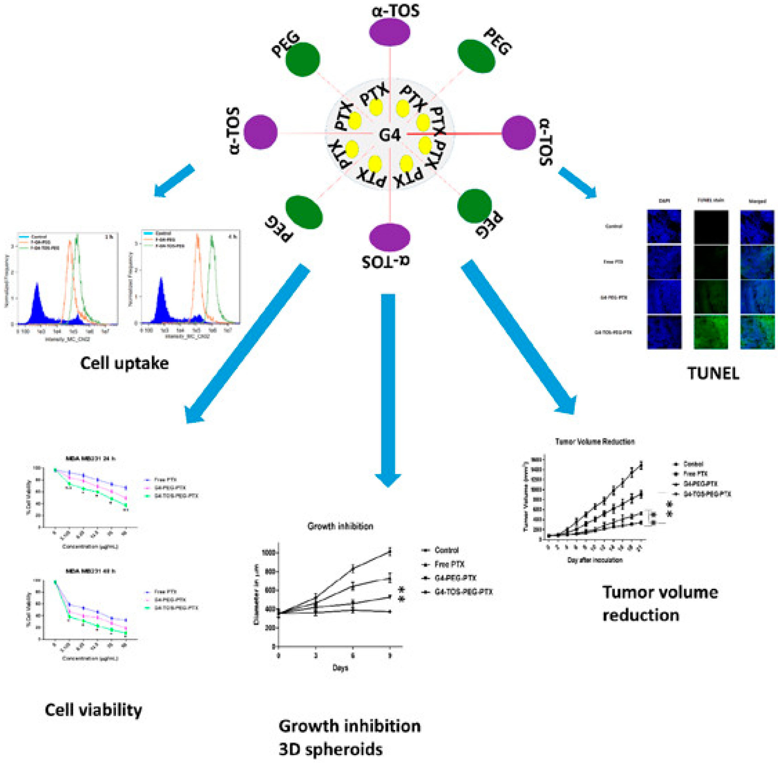 Pharmaceutics 15 01614 g004 Pharmaceutics 15 01614 g004
