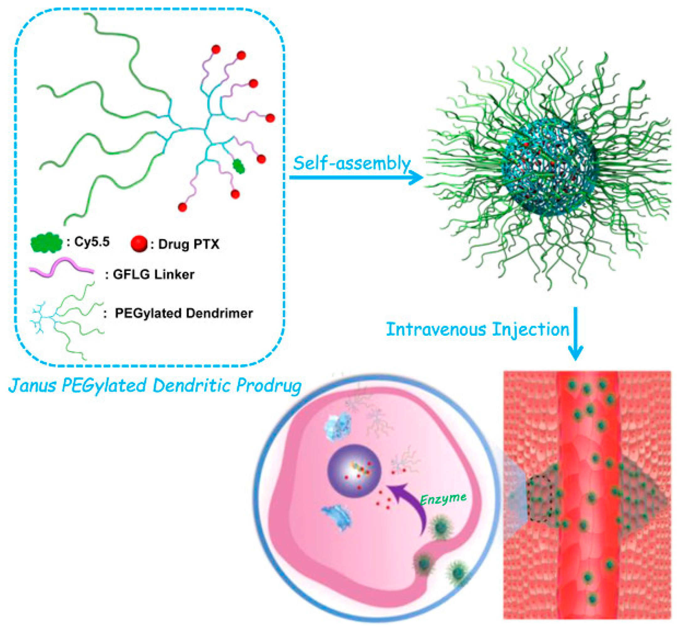 Pharmaceutics 15 01614 g007 Pharmaceutics 15 01614 g007