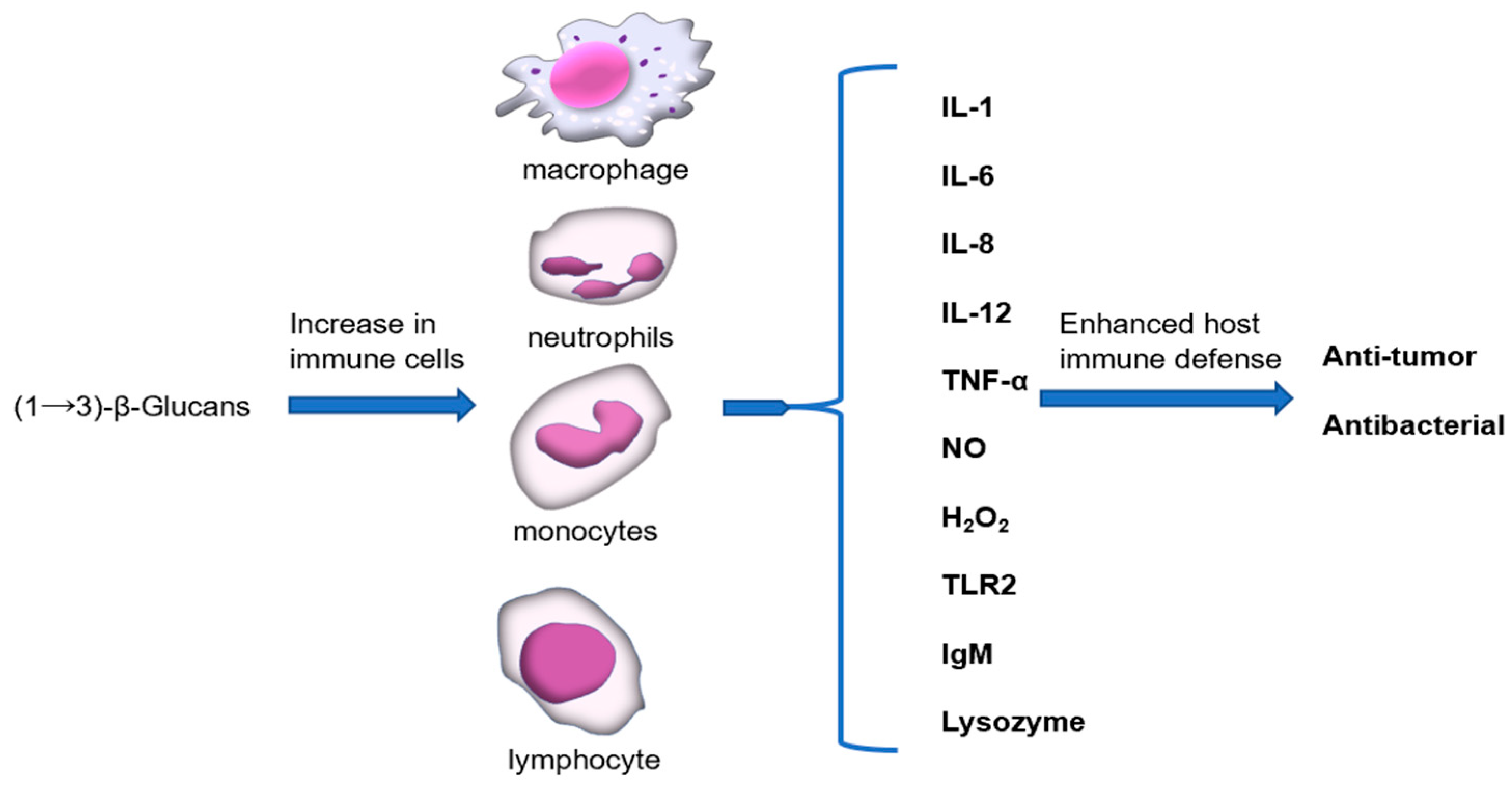 Pharmaceutics 15 01615 g003 Pharmaceutics 15 01615 g003