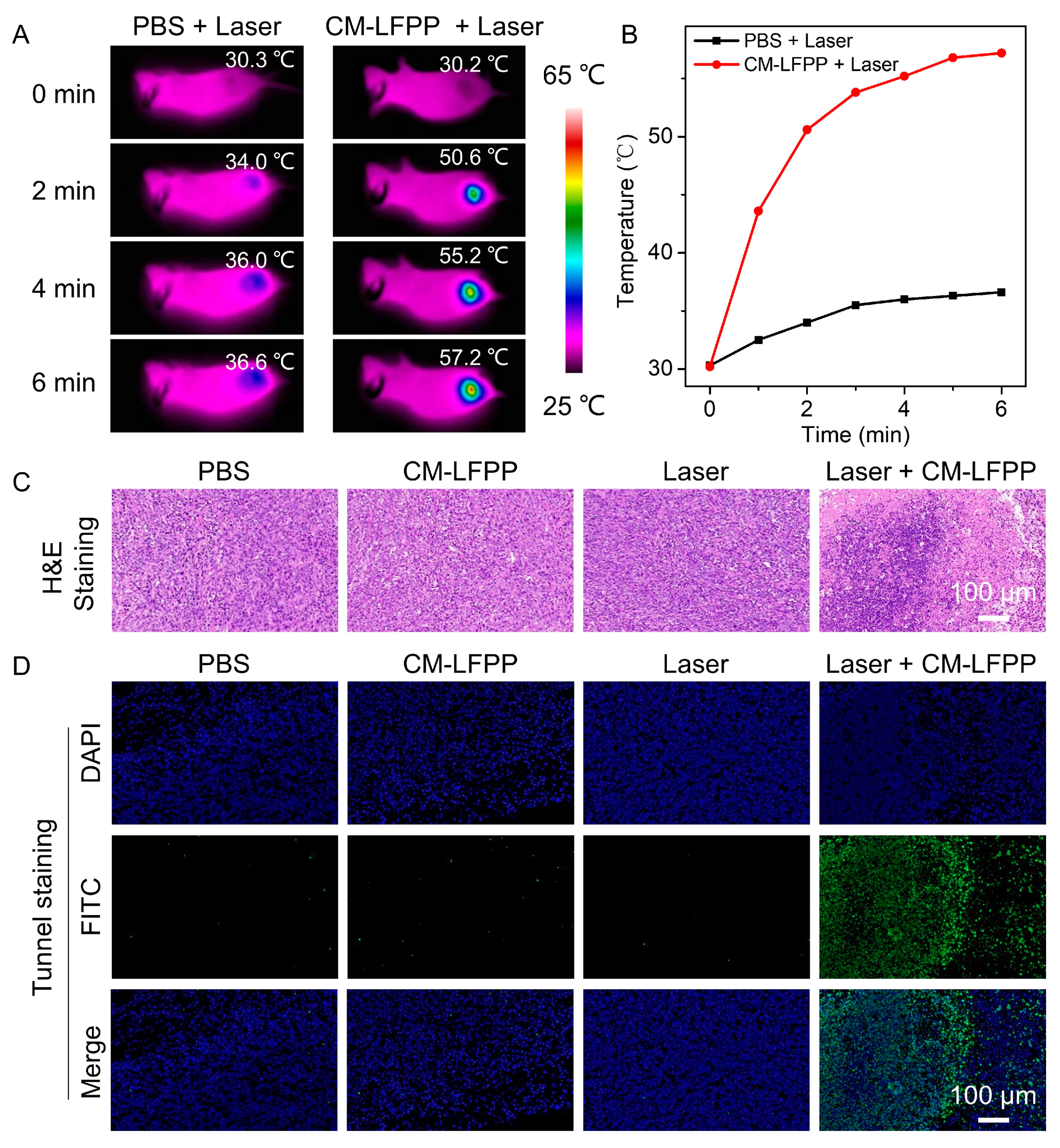 Pharmaceutics 15 01617 g007