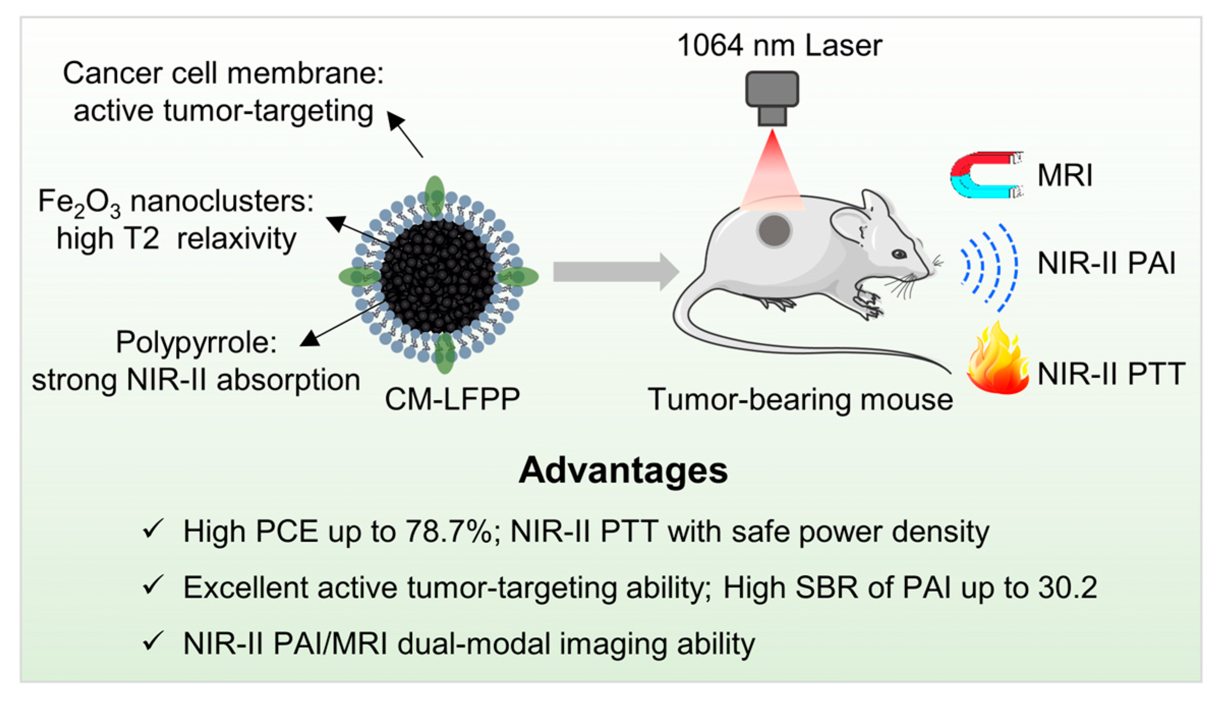 Pharmaceutics 15 01617 sch001