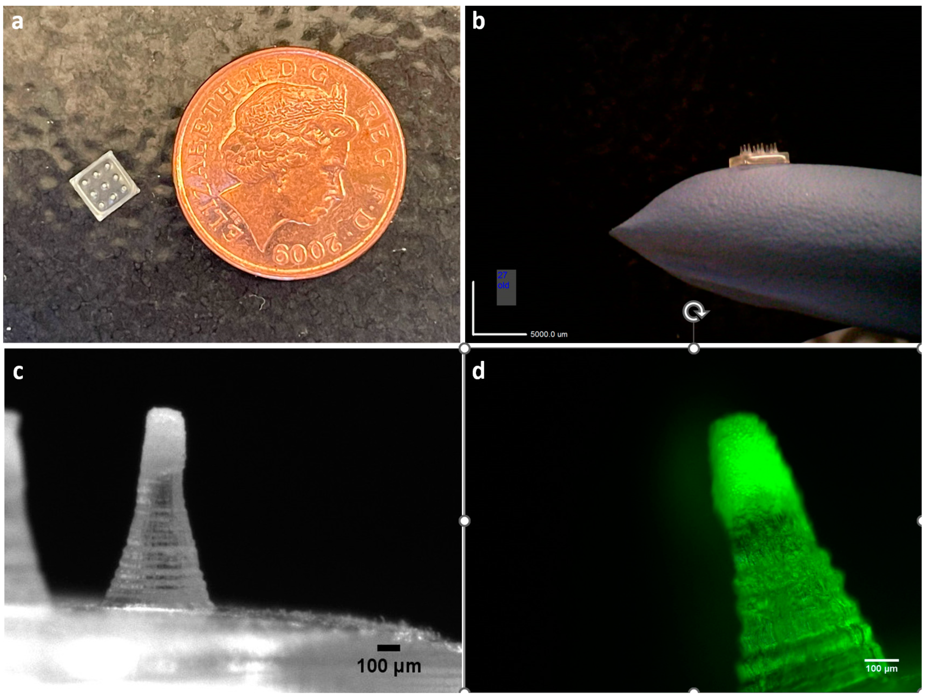Pharmaceutics 15 01622 g006
