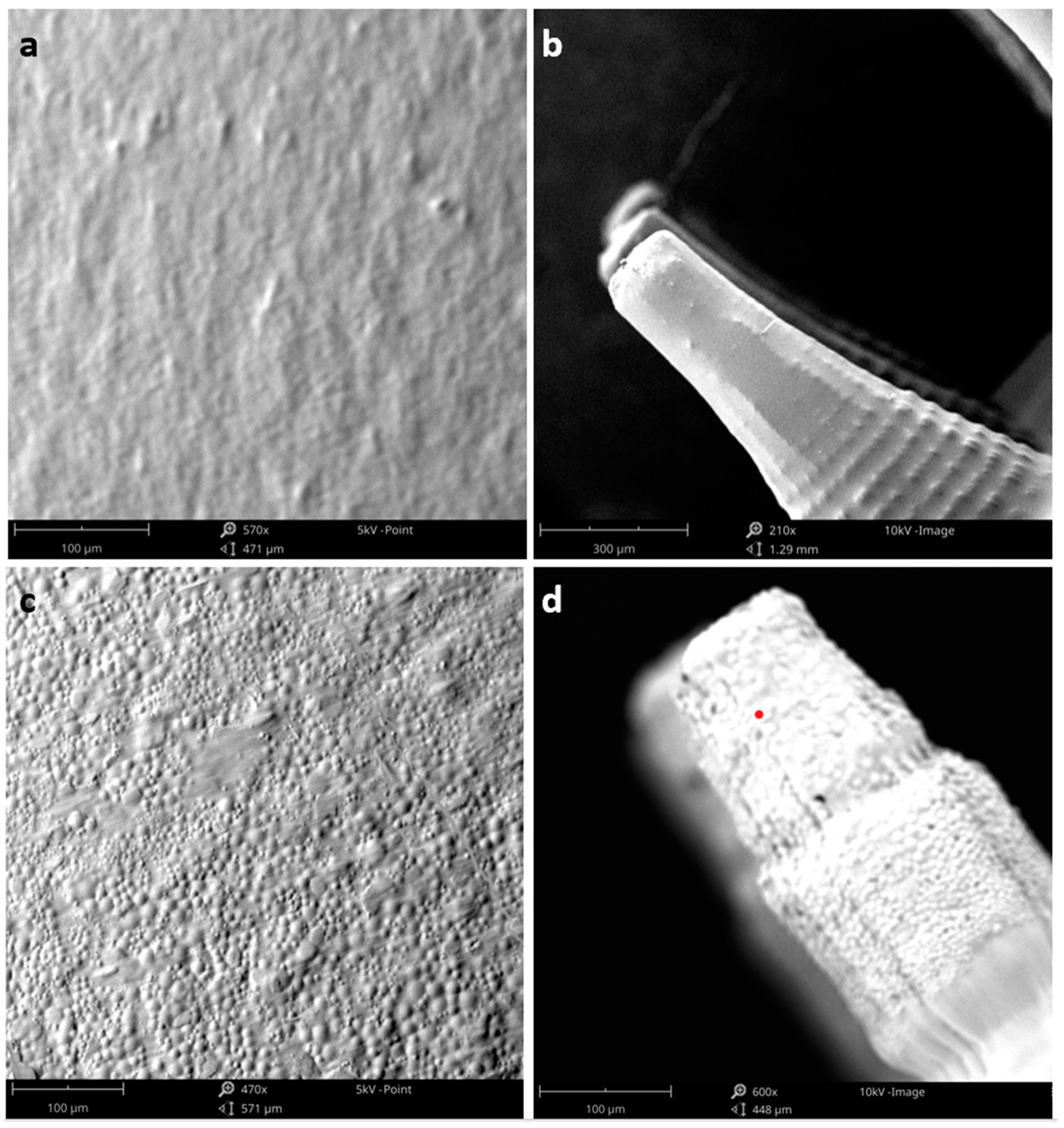Pharmaceutics 15 01622 g007