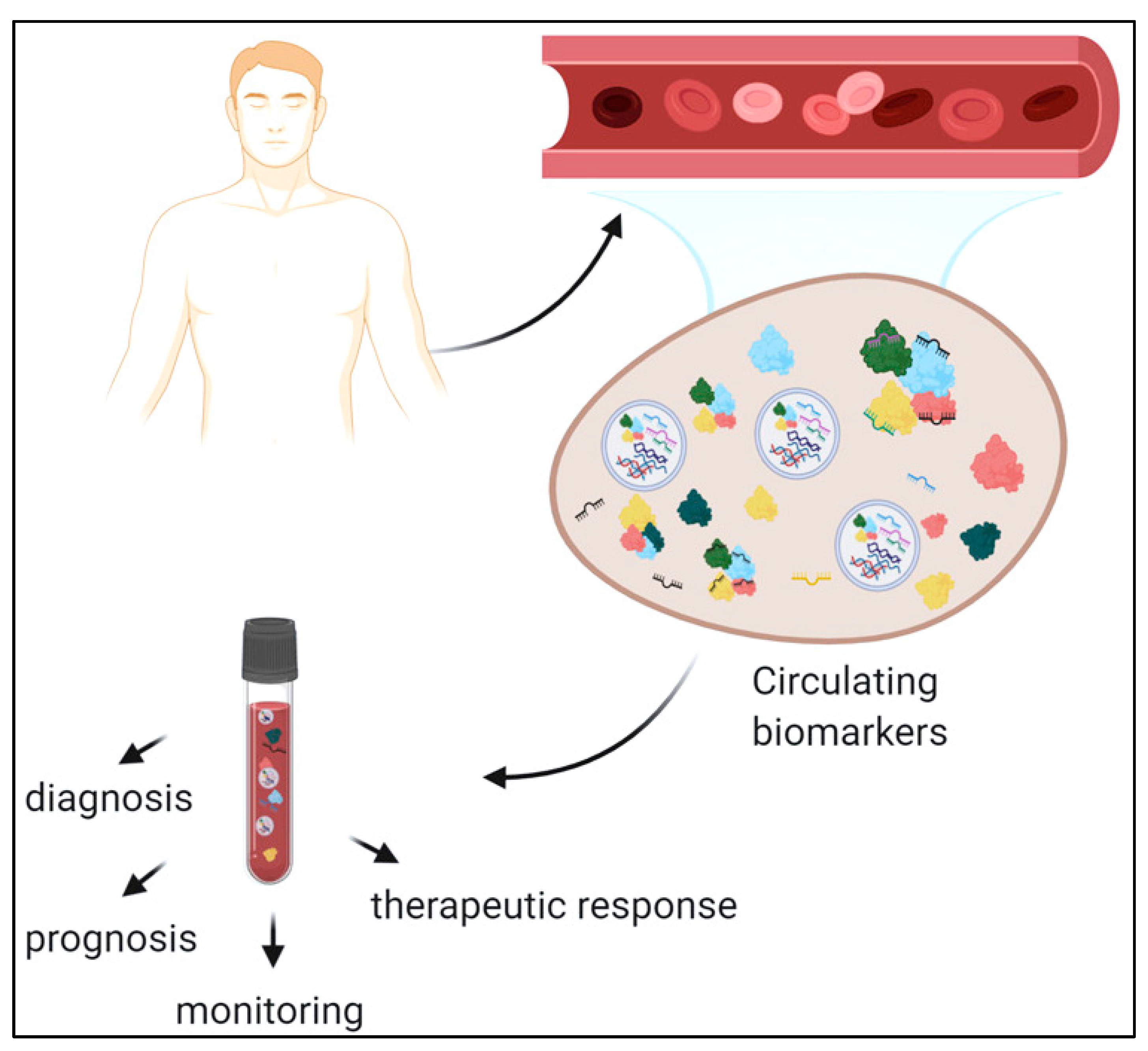 Pharmaceutics 15 01630 g002