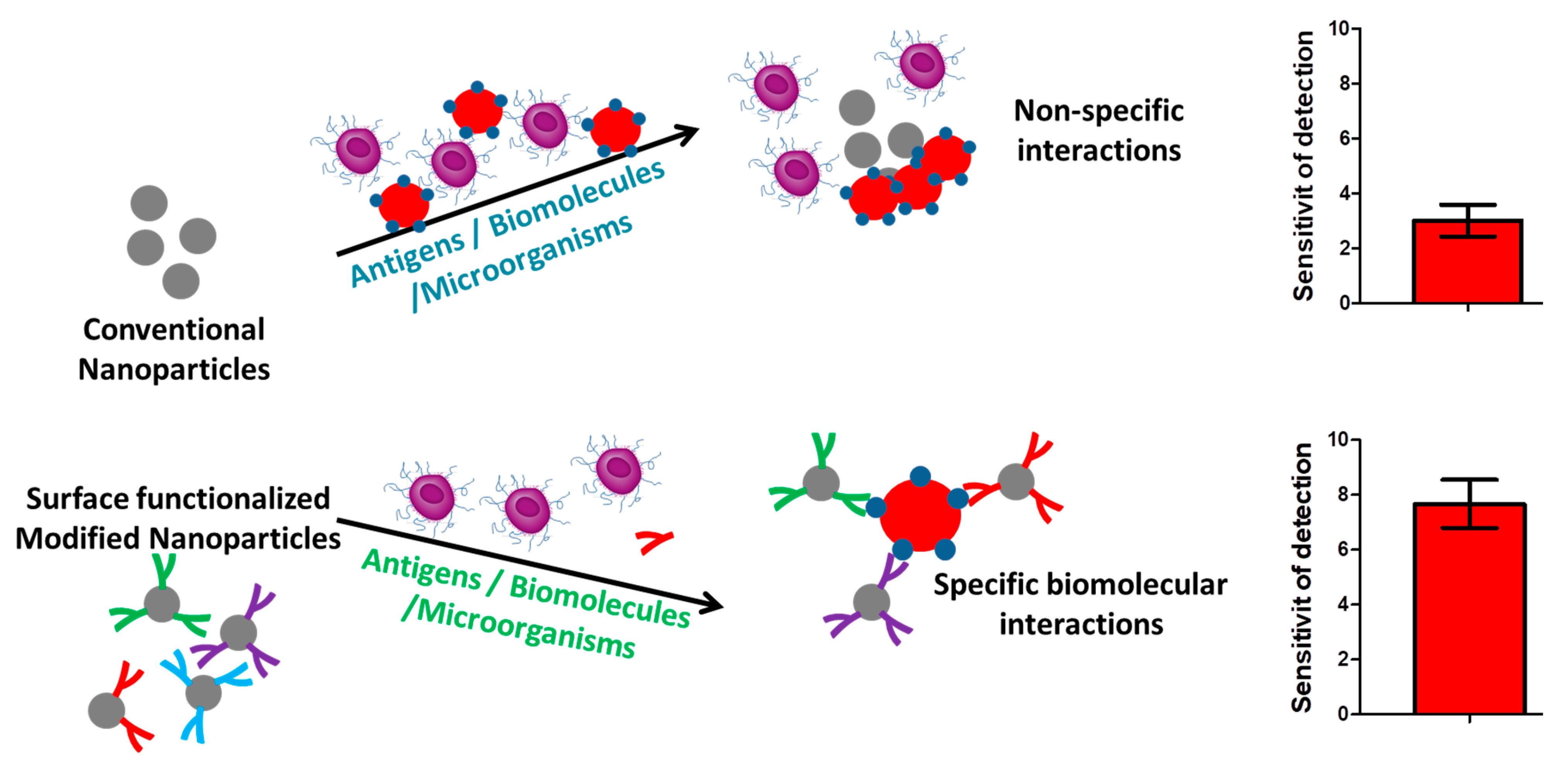 Pharmaceutics 15 01630 g006