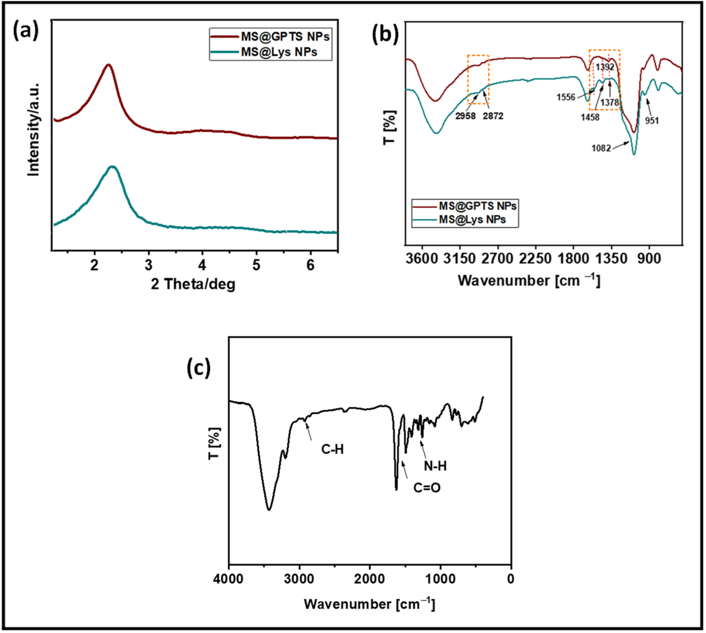 Pharmaceutics 15 01631 g001