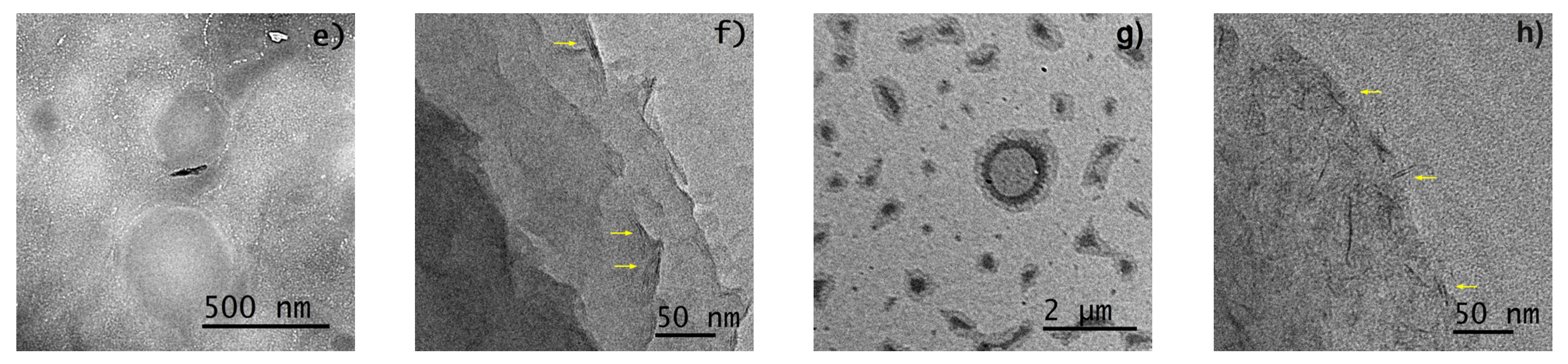 Pharmaceutics 15 01634 g004b