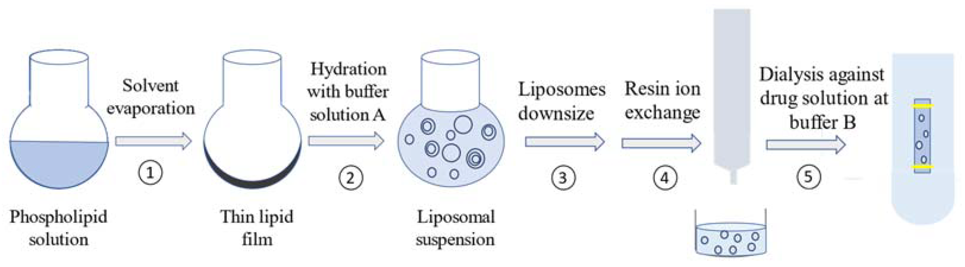 Pharmaceutics 15 01636 g003 Pharmaceutics 15 01636 g003