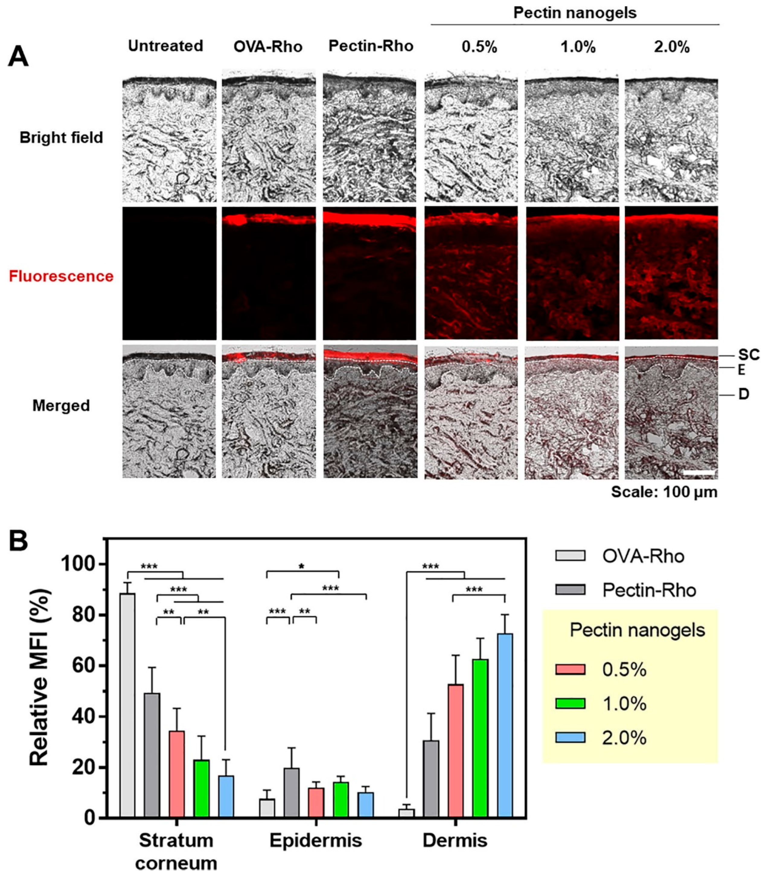 Pharmaceutics 15 01644 g004 Pharmaceutics 15 01644 g004