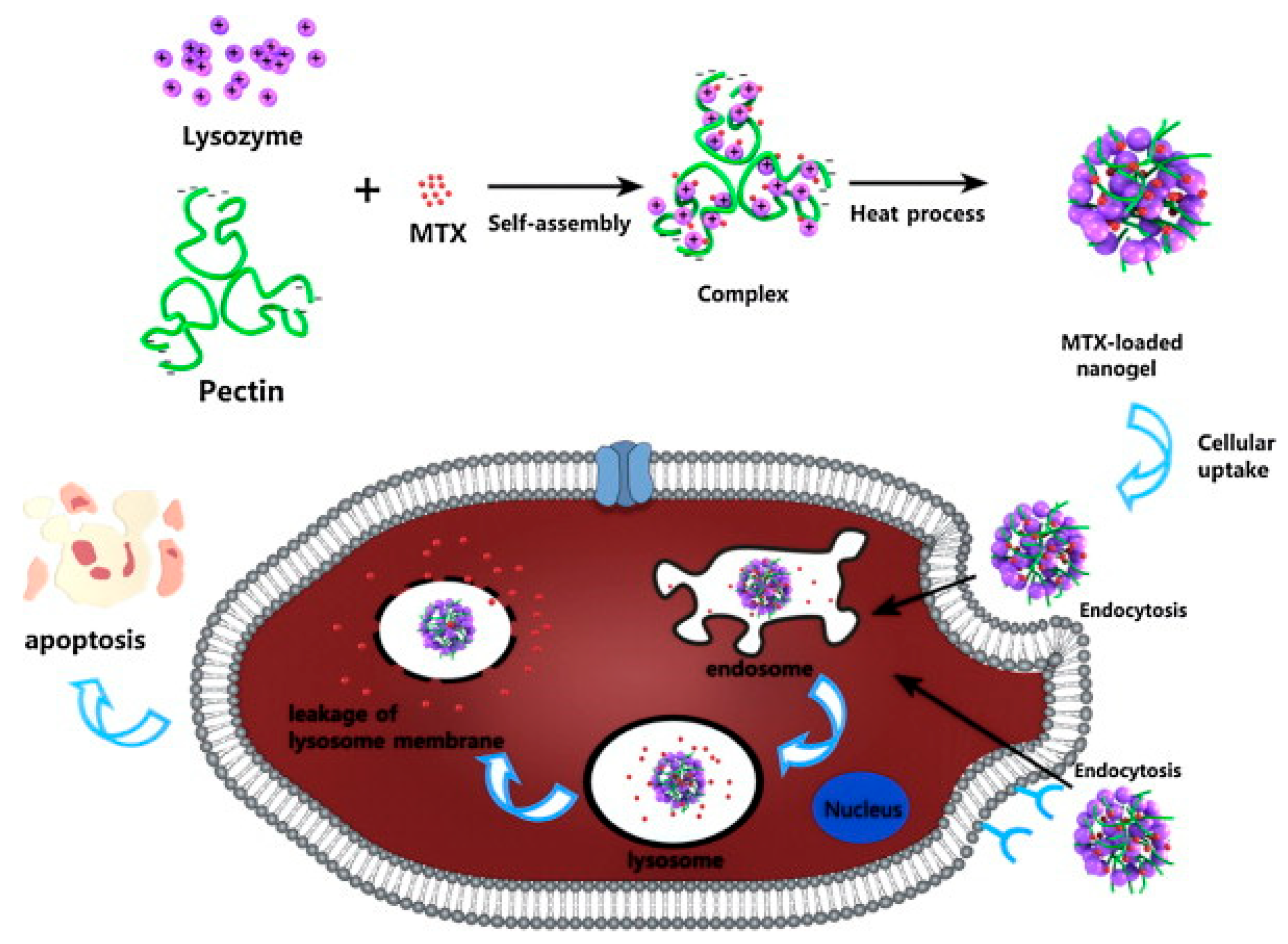 Pharmaceutics 15 01644 g005 Pharmaceutics 15 01644 g005